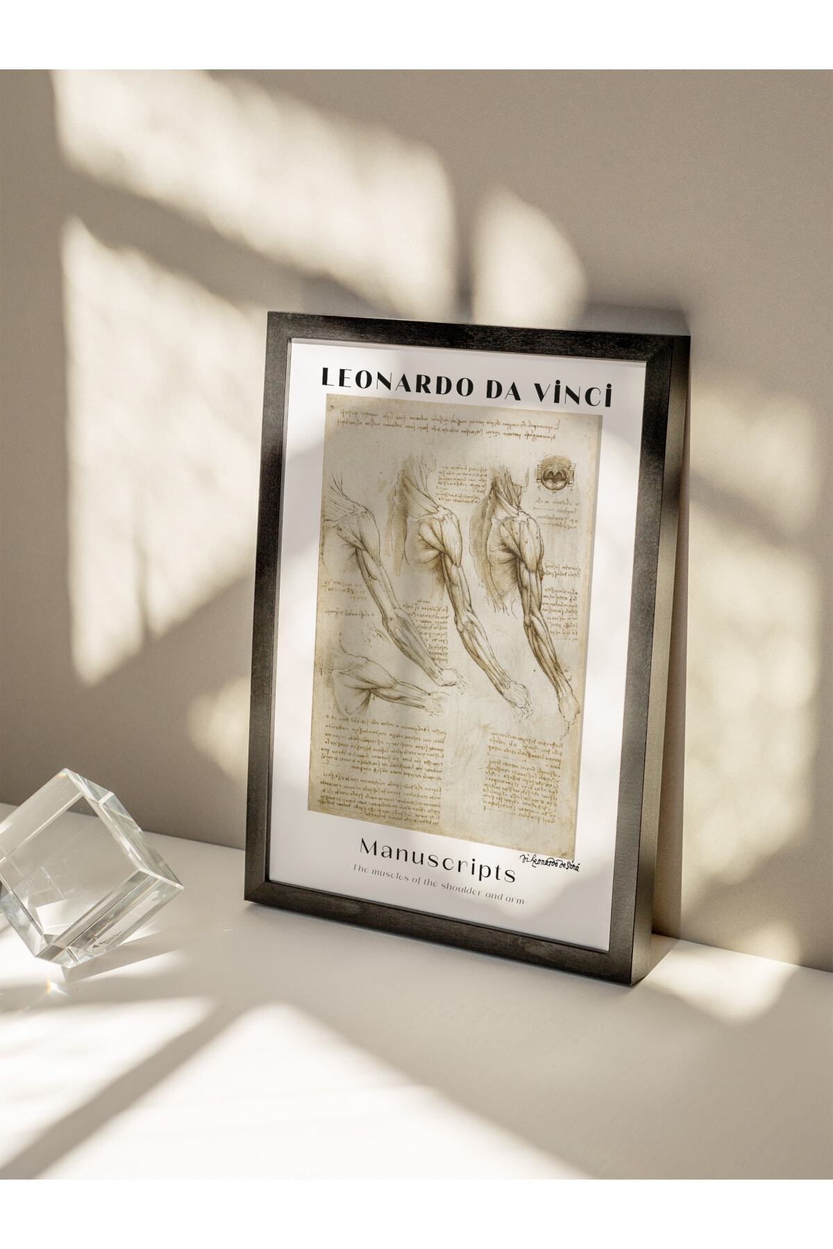 Leonardo Da Vinci Duvar Posteri - Duvar Dekoru - Sanat Serisi Posterleri - Kalın Kağıt - Çerçevesiz