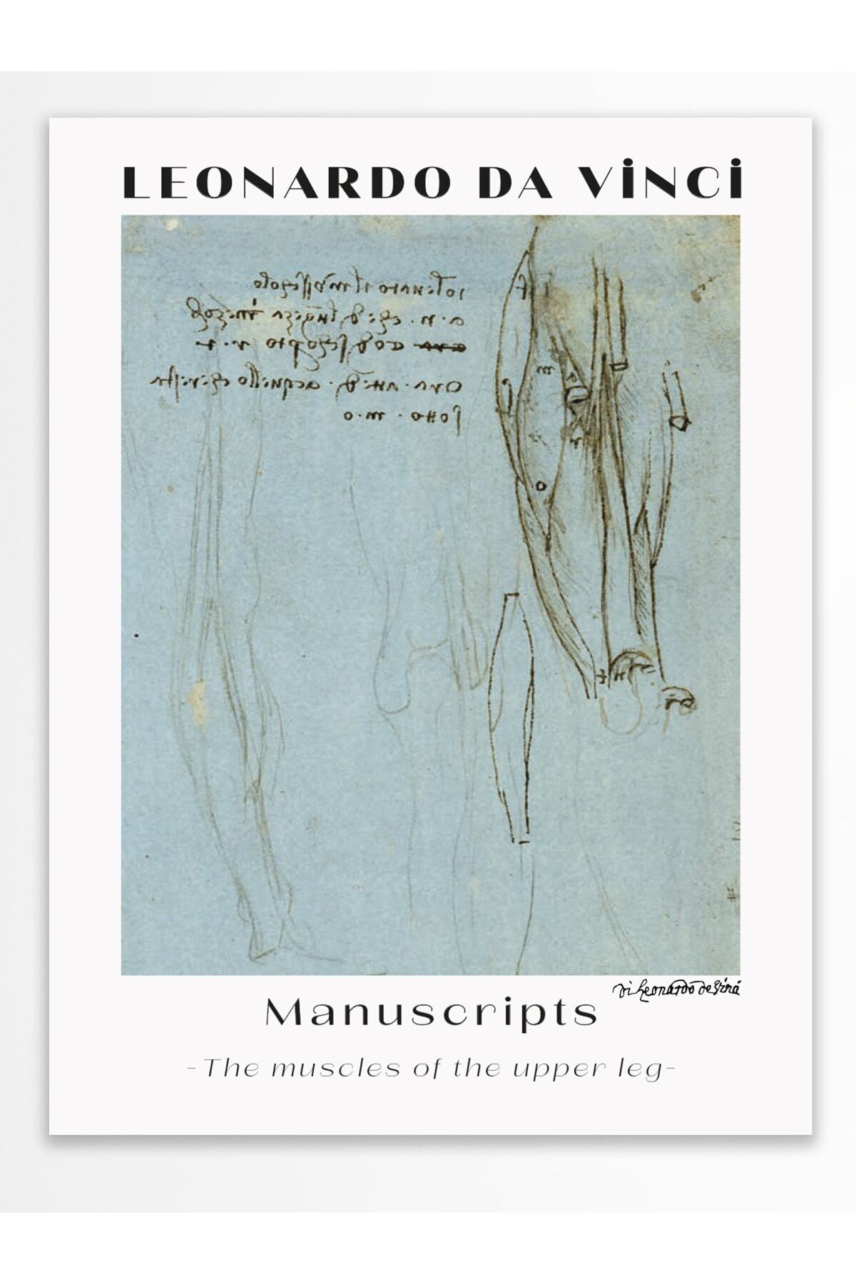 Leonardo Da Vinci Duvar Posteri - Duvar Dekoru - Sanat Serisi Posterleri - Kalın Kağıt - Çerçevesiz