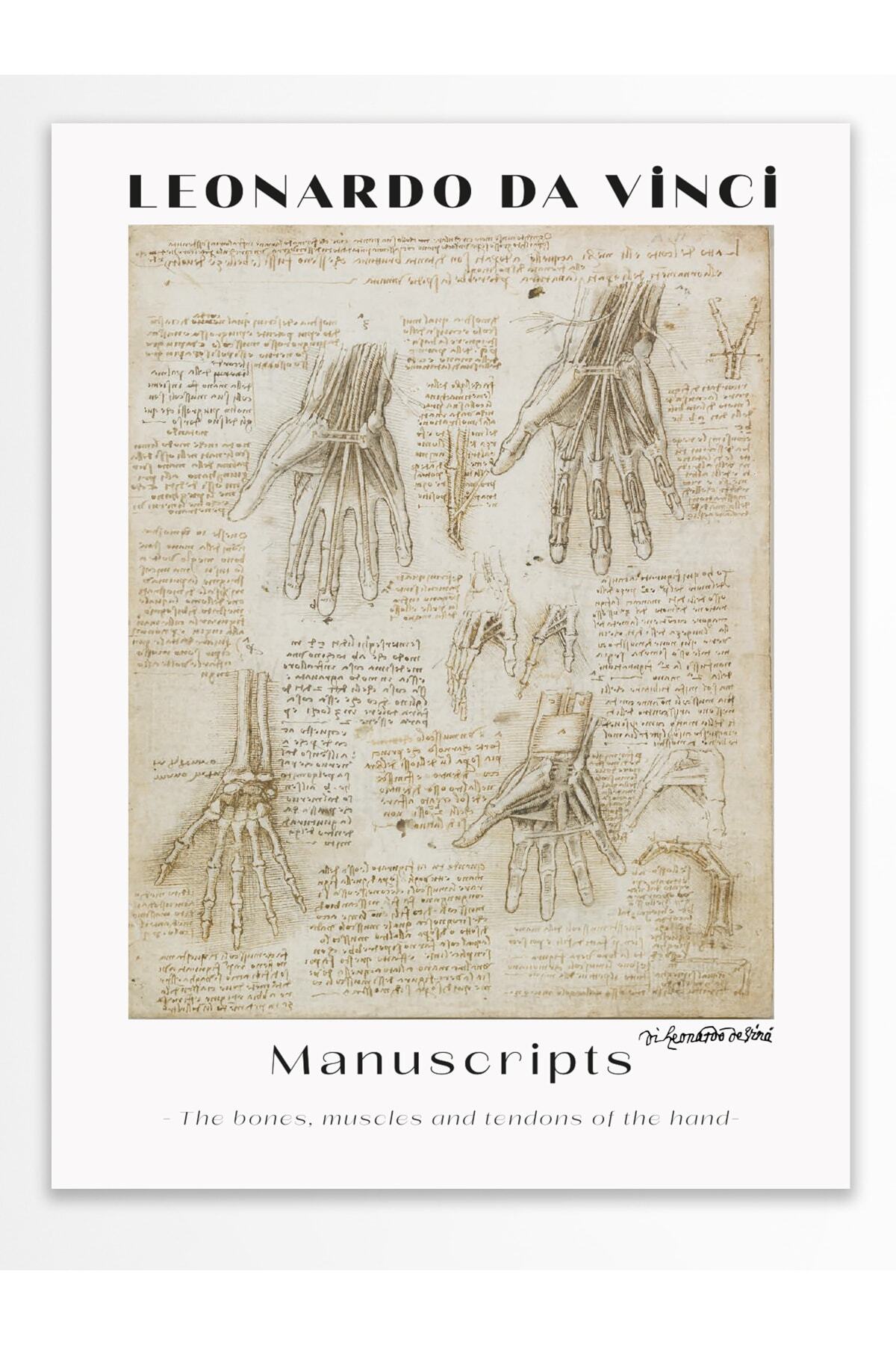 Leonardo Da Vinci Duvar Posteri - Duvar Dekoru - Sanat Serisi Posterleri - Kalın Kağıt - Çerçevesiz