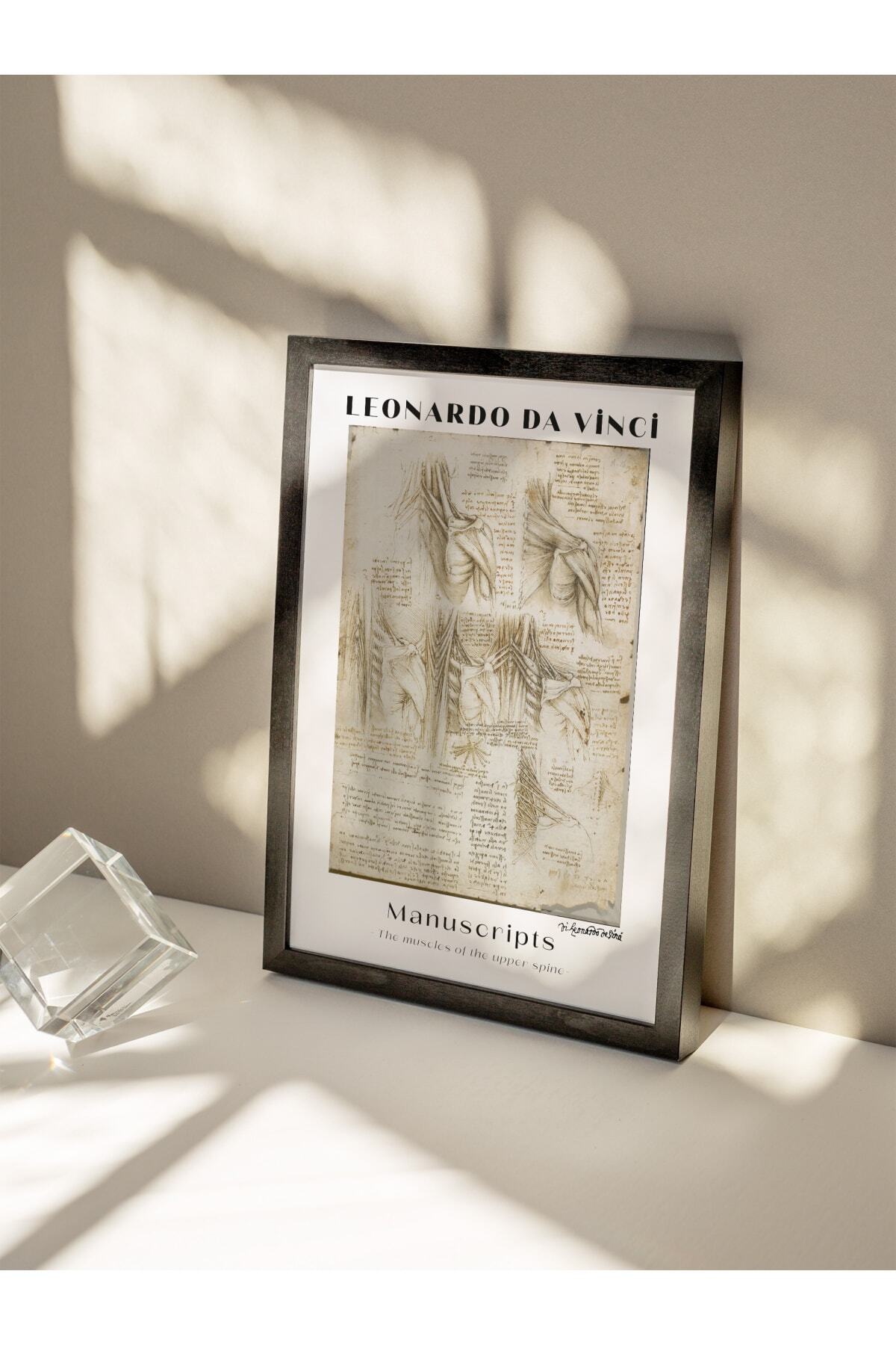 Leonardo Da Vinci Duvar Posteri - Duvar Dekoru - Sanat Serisi Posterleri - Kalın Kağıt - Çerçevesiz