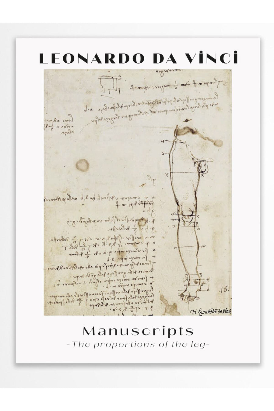 Farklı Tonlarda LEONARDO DA VINCI Modern Sanat Çerçevesiz Poster