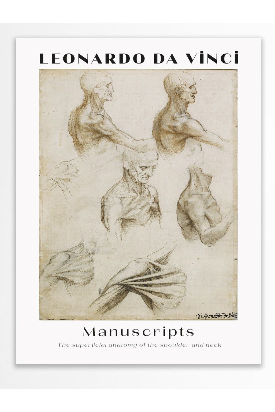 Farklı Tonlarda Leonardo Da Vinci Modern Sanat Çerçevesiz Poster