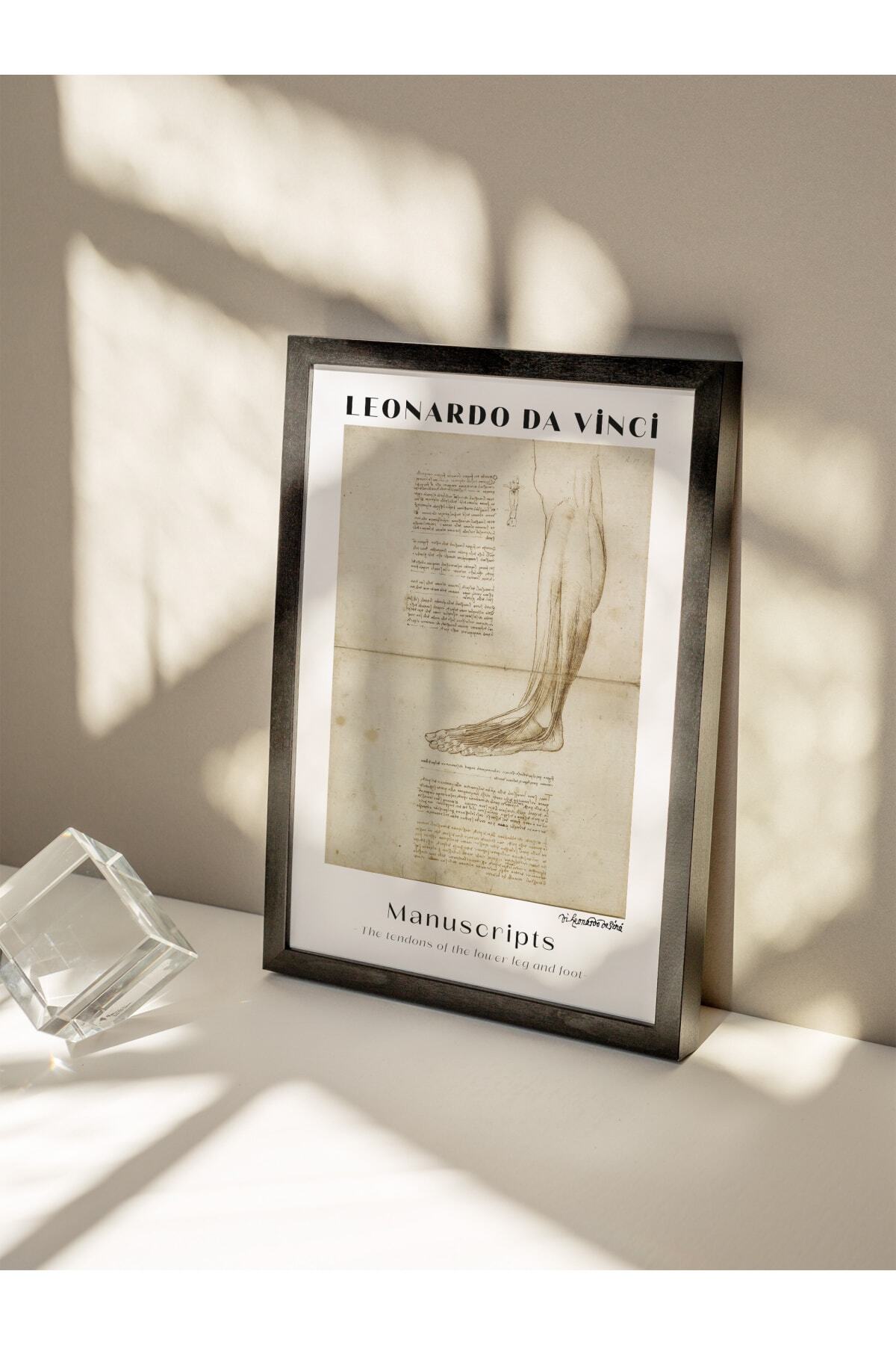 Leonardo Da Vinci Duvar Posteri - Duvar Dekoru - Sanat Serisi Posterleri - Kalın Kağıt - Çerçevesiz