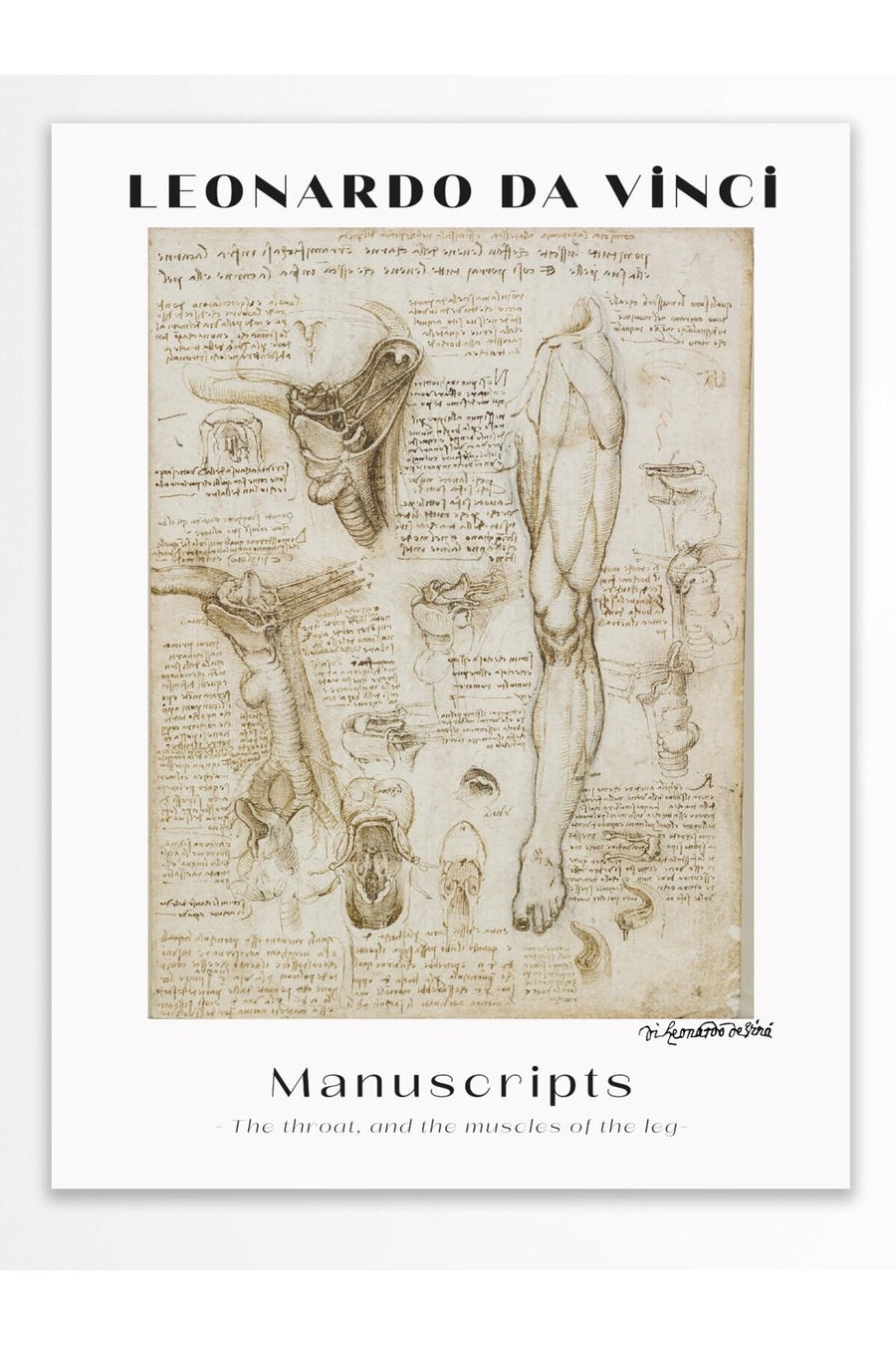 Farklı Tonlarda LEONARDO DA VINCI Modern Sanat Çerçevesiz Poster