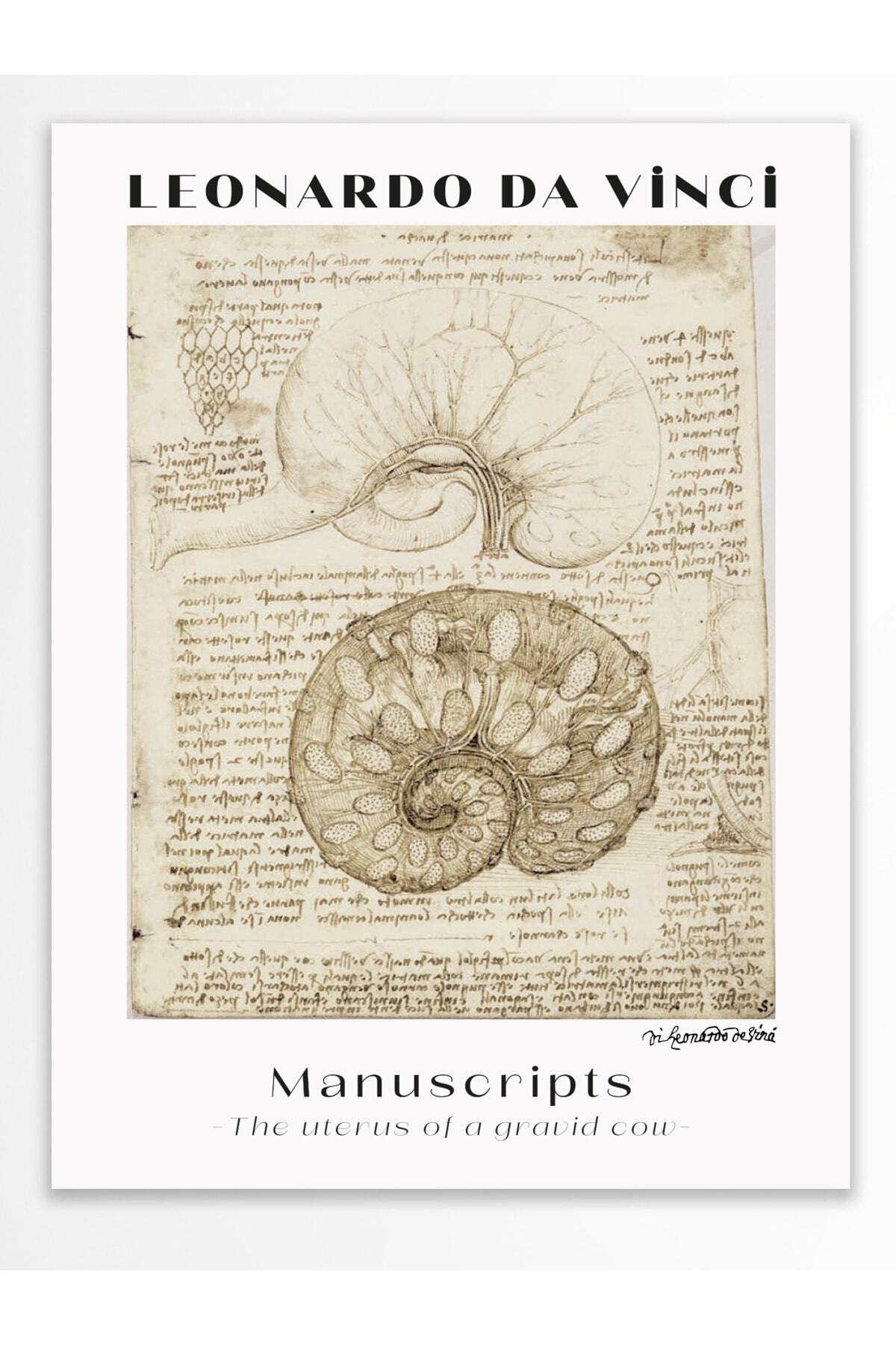 Leonardo Da Vinci Duvar Posteri - Duvar Dekoru - Sanat Serisi Posterleri - Kalın Kağıt - Çerçevesiz