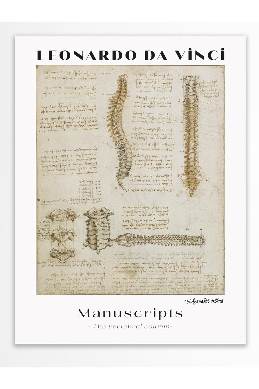 Farklı Tonlarda LEONARDO DA VINCI Modern Sanat Çerçevesiz Poster