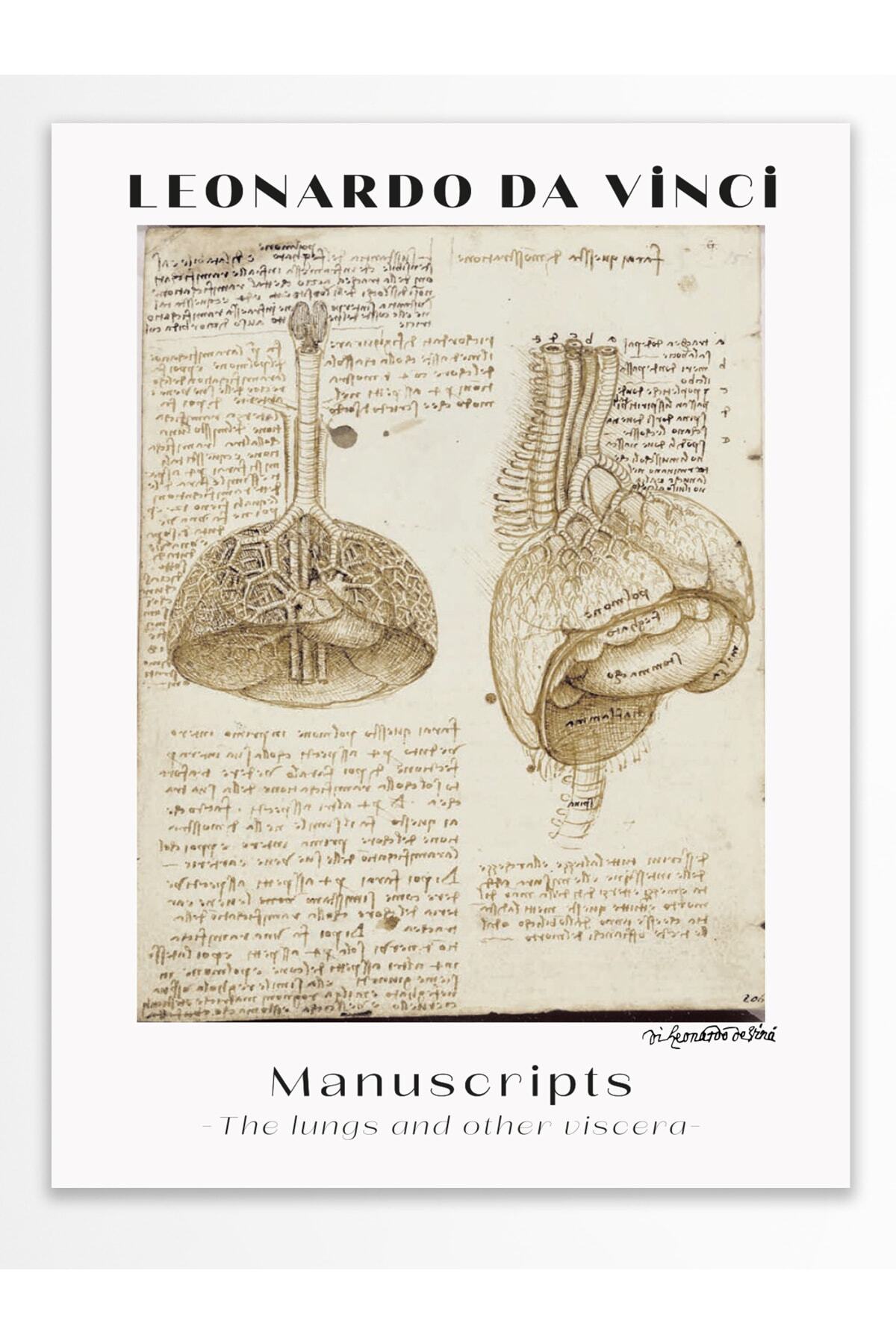 Leonardo Da Vinci Duvar Posteri - Duvar Dekoru - Sanat Serisi Posterleri - Kalın Kağıt - Çerçevesiz
