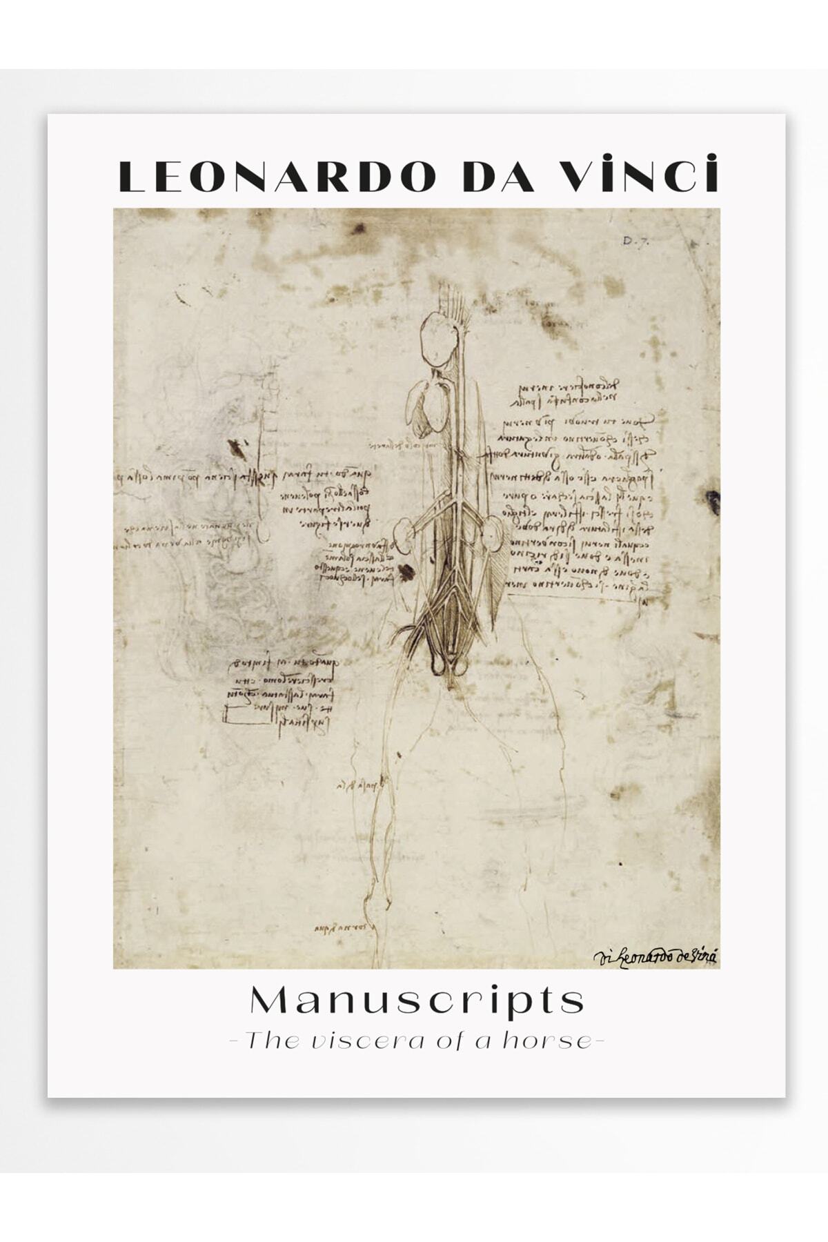 Leonardo Da Vinci Duvar Posteri - Duvar Dekoru - Sanat Serisi Posterleri - Kalın Kağıt - Çerçevesiz