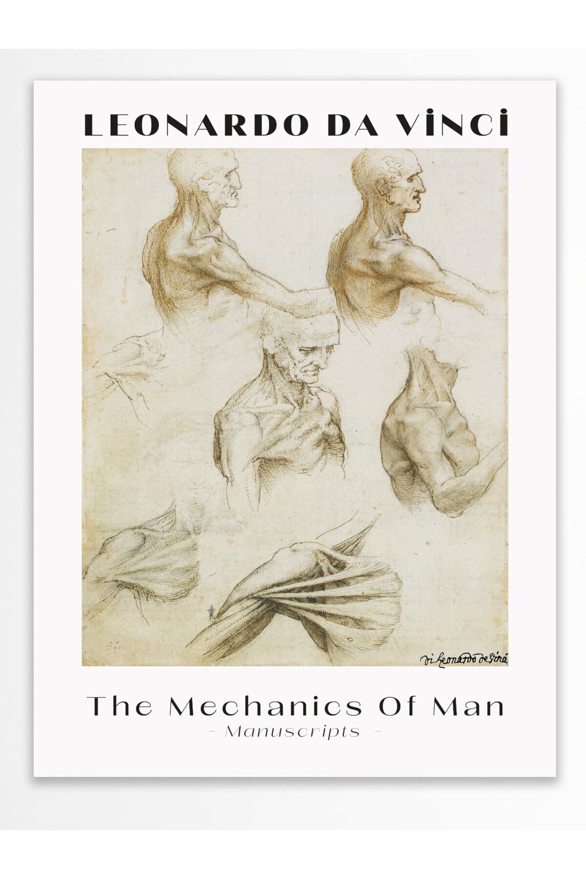 Leonardo Da Vinci Duvar Posteri - Duvar Dekoru - Sanat Serisi Posterleri - Kalın Kağıt - Çerçevesiz