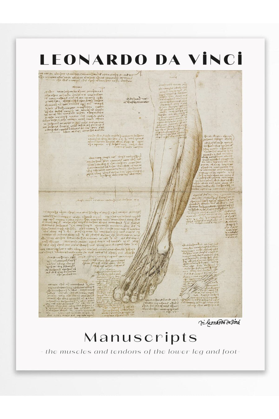 Farklı Tonlarda LEONARDO DA VINCI Modern Sanat Çerçevesiz Poster