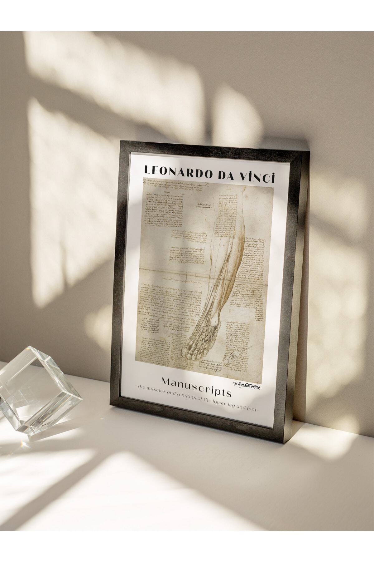 Leonardo Da Vinci Duvar Posteri - Duvar Dekoru - Sanat Serisi Posterleri - Kalın Kağıt - Çerçevesiz