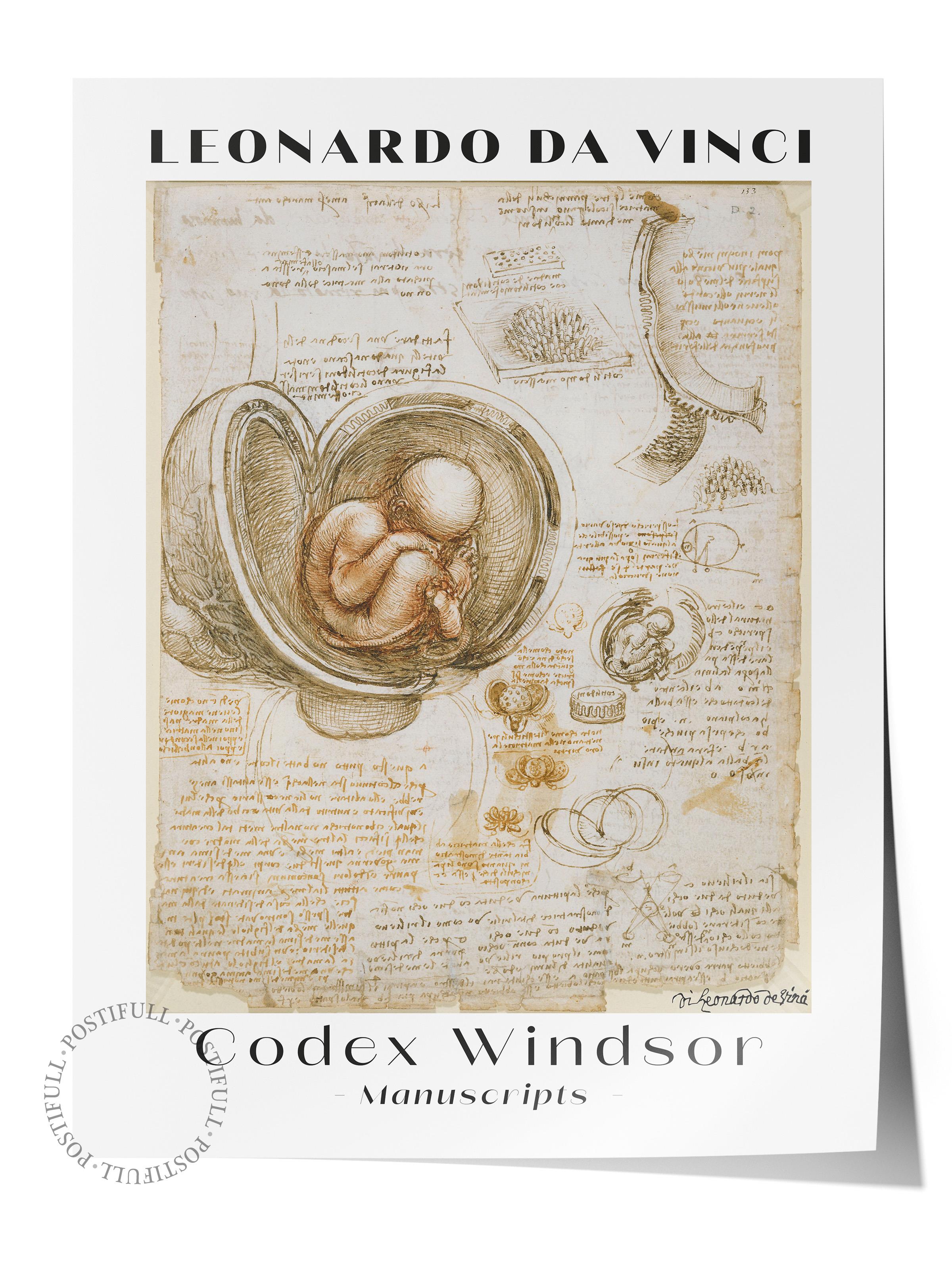 Leonardo Da Vinci Duvar Posteri - Duvar Dekoru - Sanat Serisi Posterleri - Kalın Kağıt - Çerçevesiz
