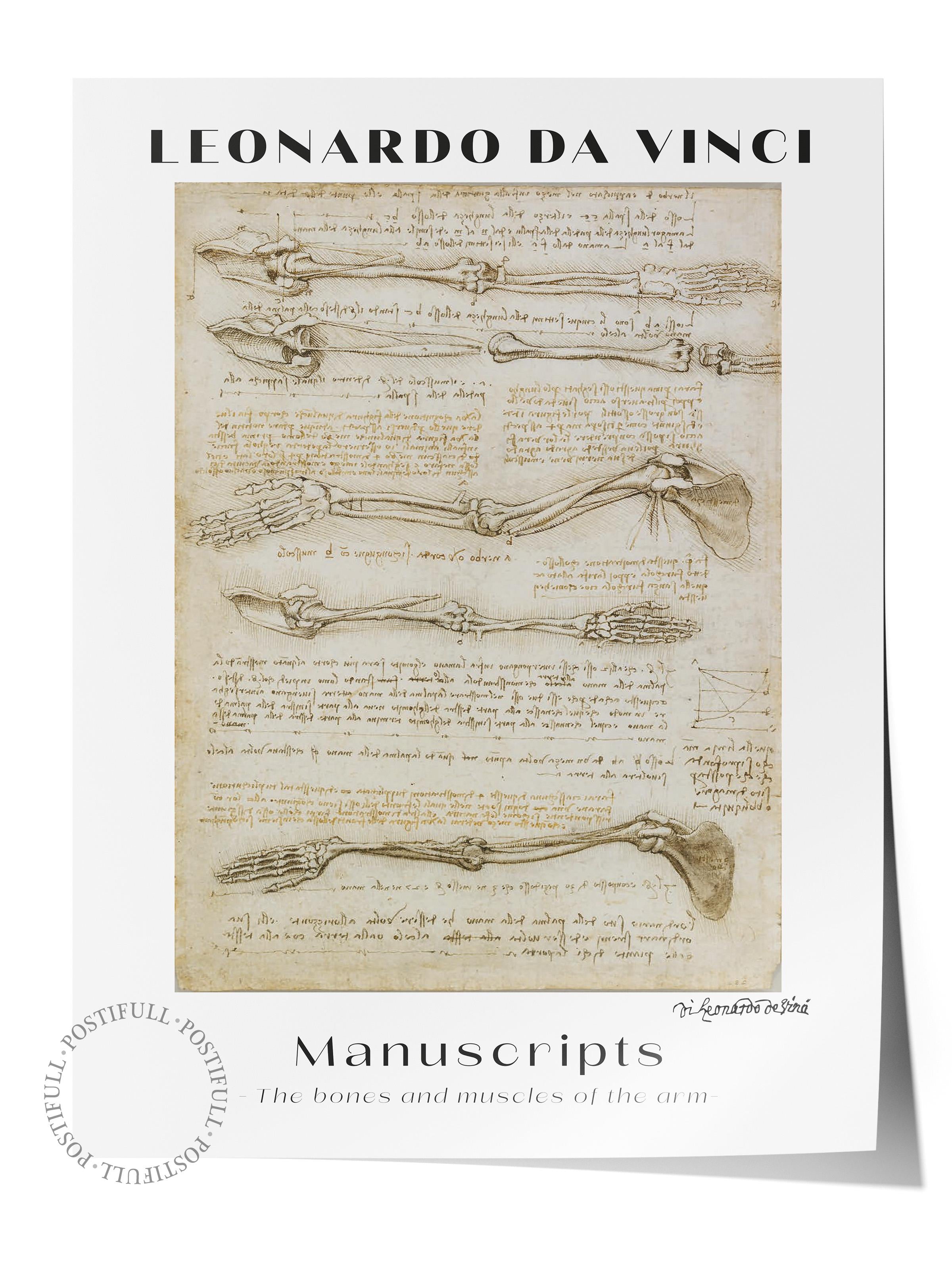 Leonardo Da Vinci Duvar Posteri - Duvar Dekoru - Sanat Serisi Posterleri - Kalın Kağıt - Çerçevesiz