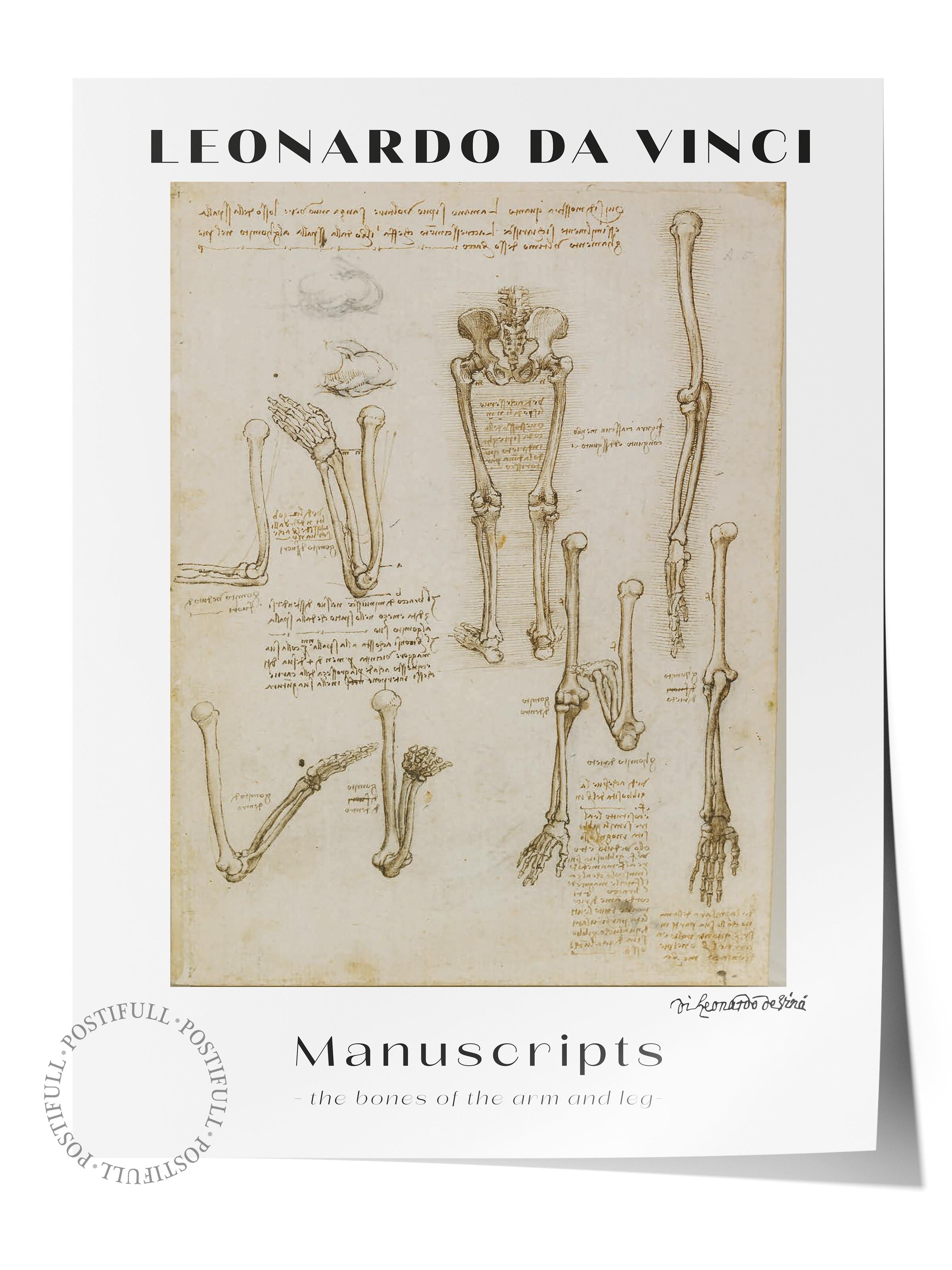 Leonardo Da Vinci Duvar Posteri - Duvar Dekoru - Sanat Serisi Posterleri - Kalın Kağıt - Çerçevesiz