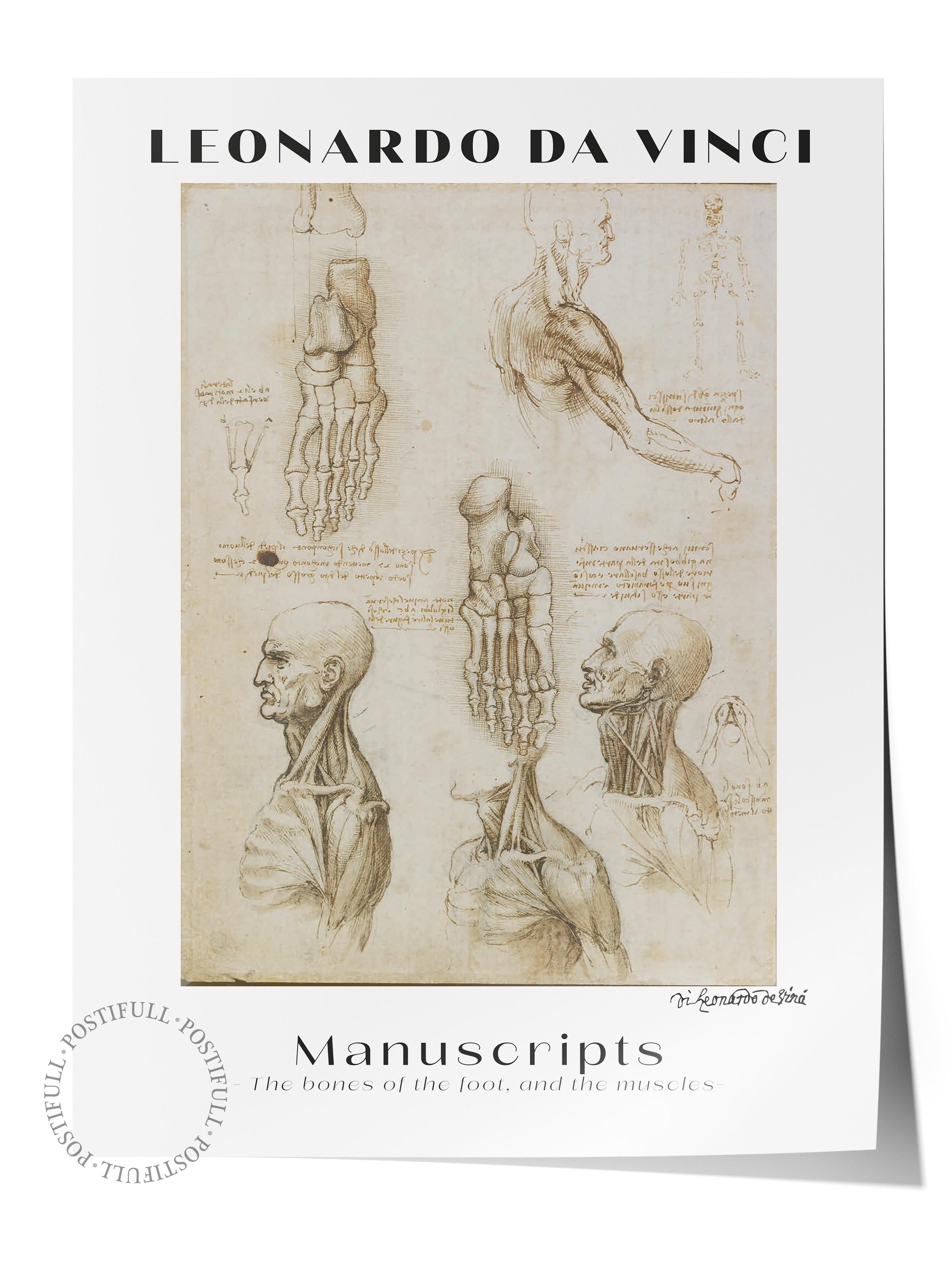 Leonardo Da Vinci Duvar Posteri - Duvar Dekoru - Sanat Serisi Posterleri - Kalın Kağıt - Çerçevesiz