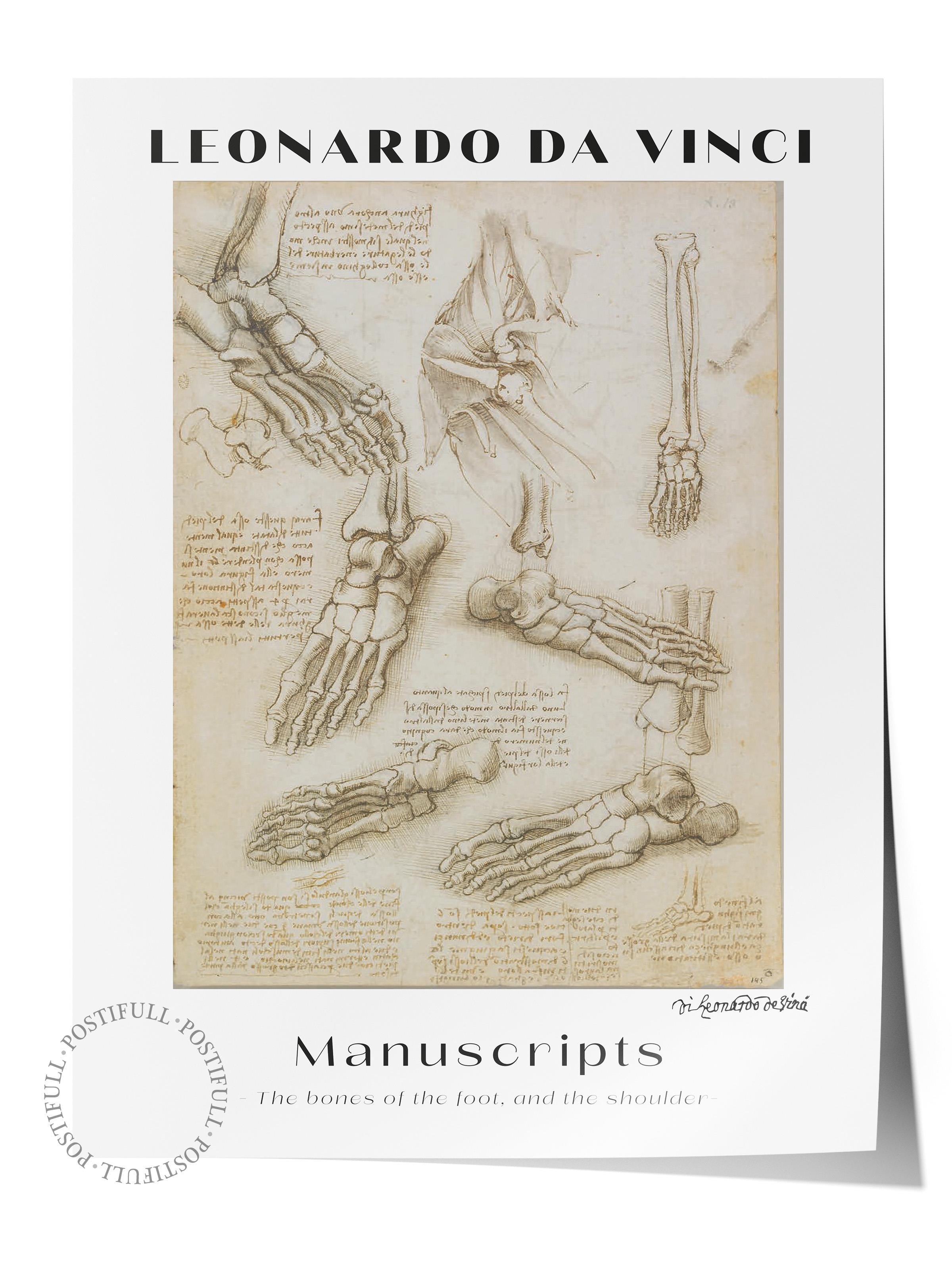 Leonardo Da Vinci Duvar Posteri - Duvar Dekoru - Sanat Serisi Posterleri - Kalın Kağıt - Çerçevesiz