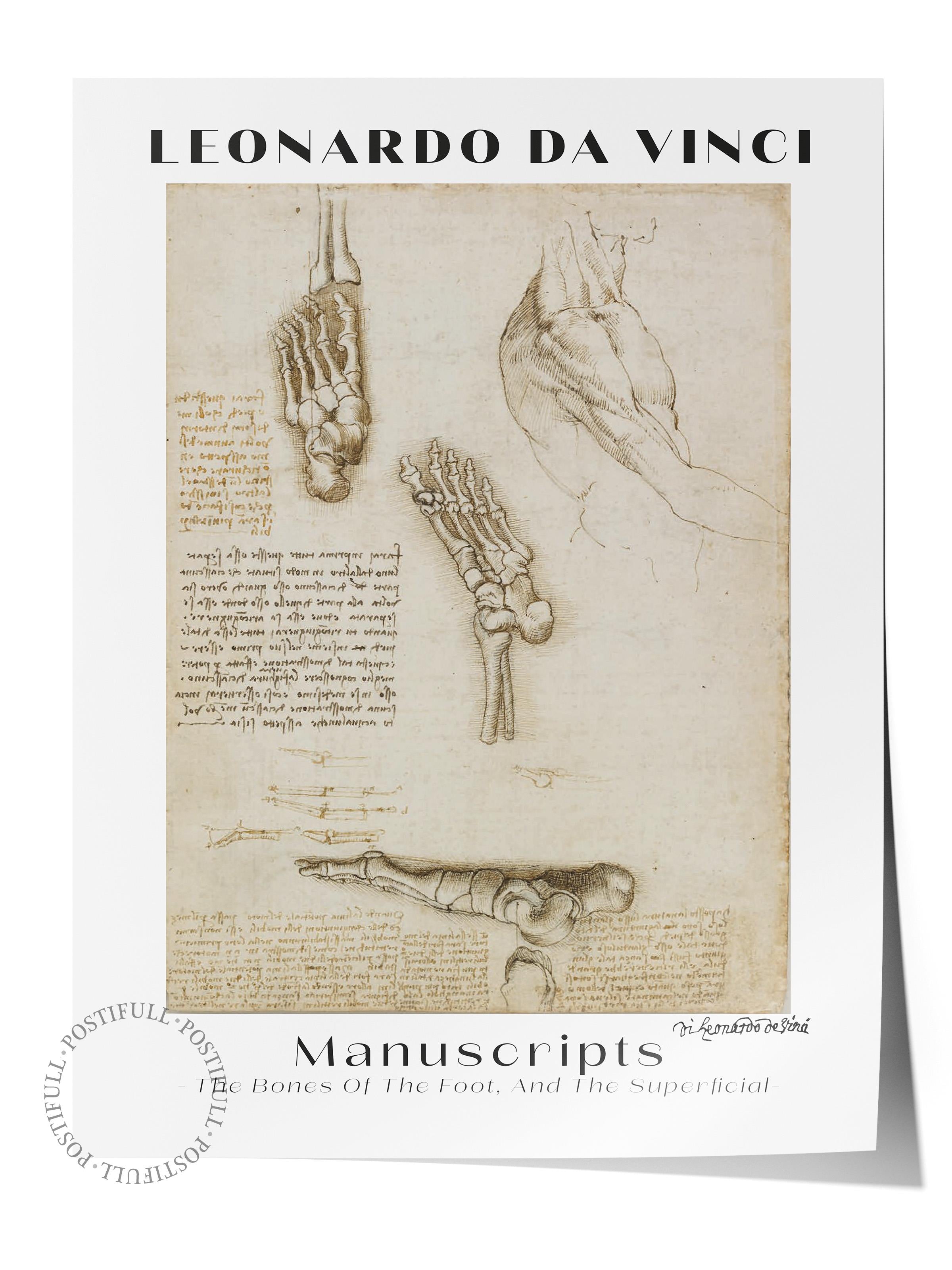 Leonardo Da Vinci Duvar Posteri - Duvar Dekoru - Sanat Serisi Posterleri - Kalın Kağıt - Çerçevesiz