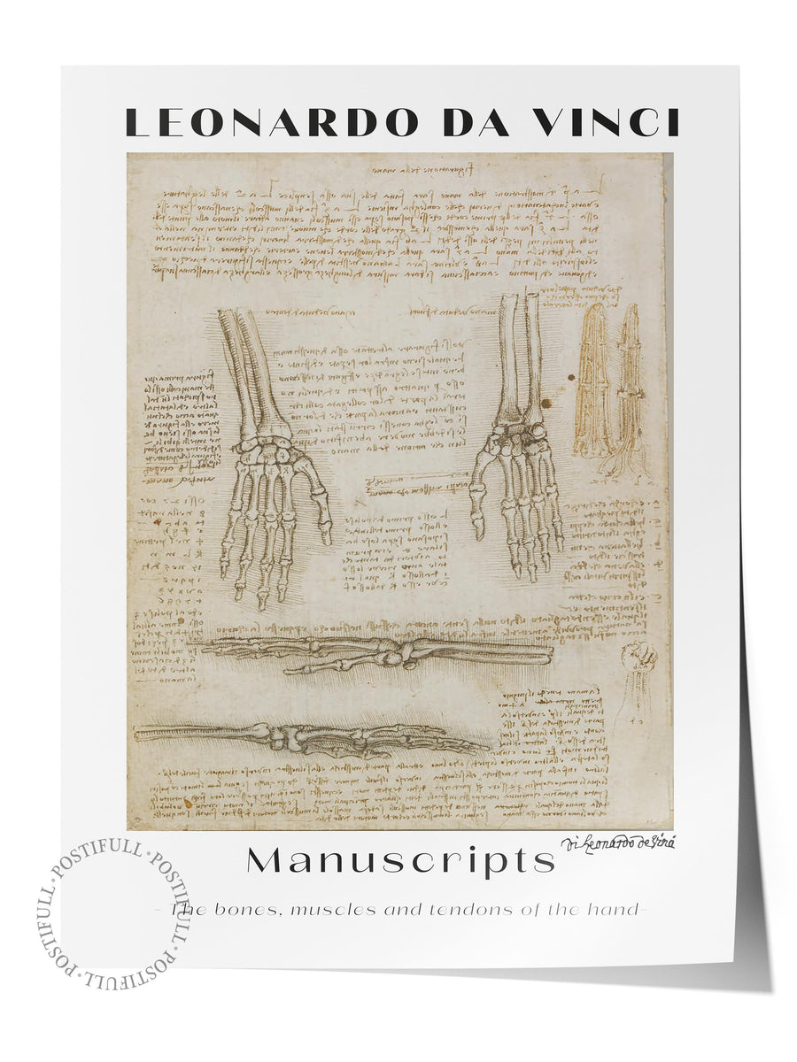LEONARDO DA VINCI Manuscripts - The bones, muscles and tendons of the hand - Modern Sanat Çerçevesiz Poster