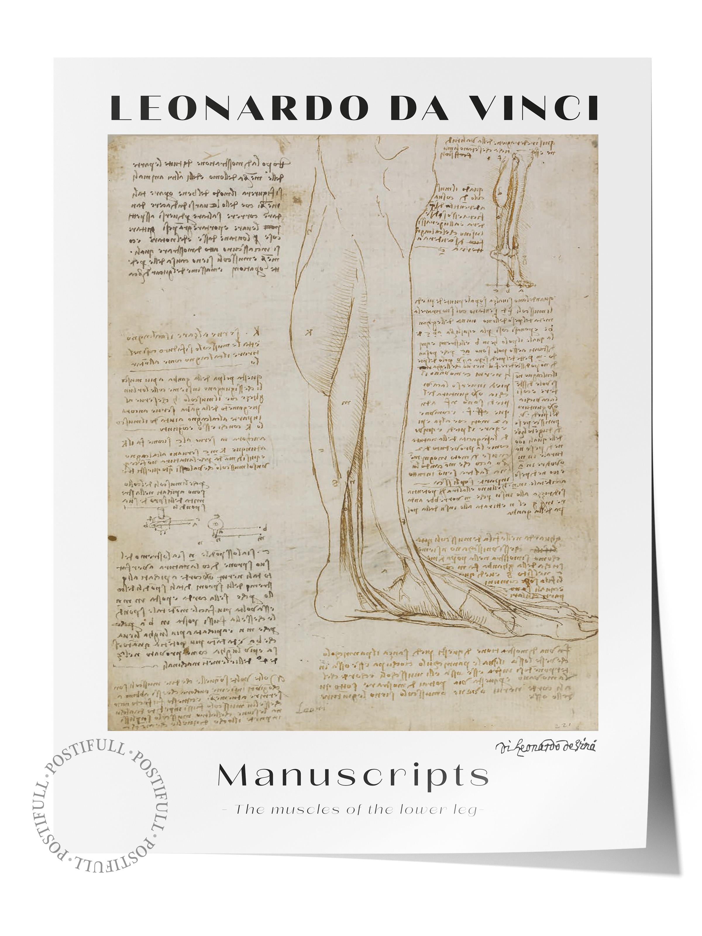 Leonardo Da Vinci Duvar Posteri - Duvar Dekoru - Sanat Serisi Posterleri - Kalın Kağıt - Çerçevesiz