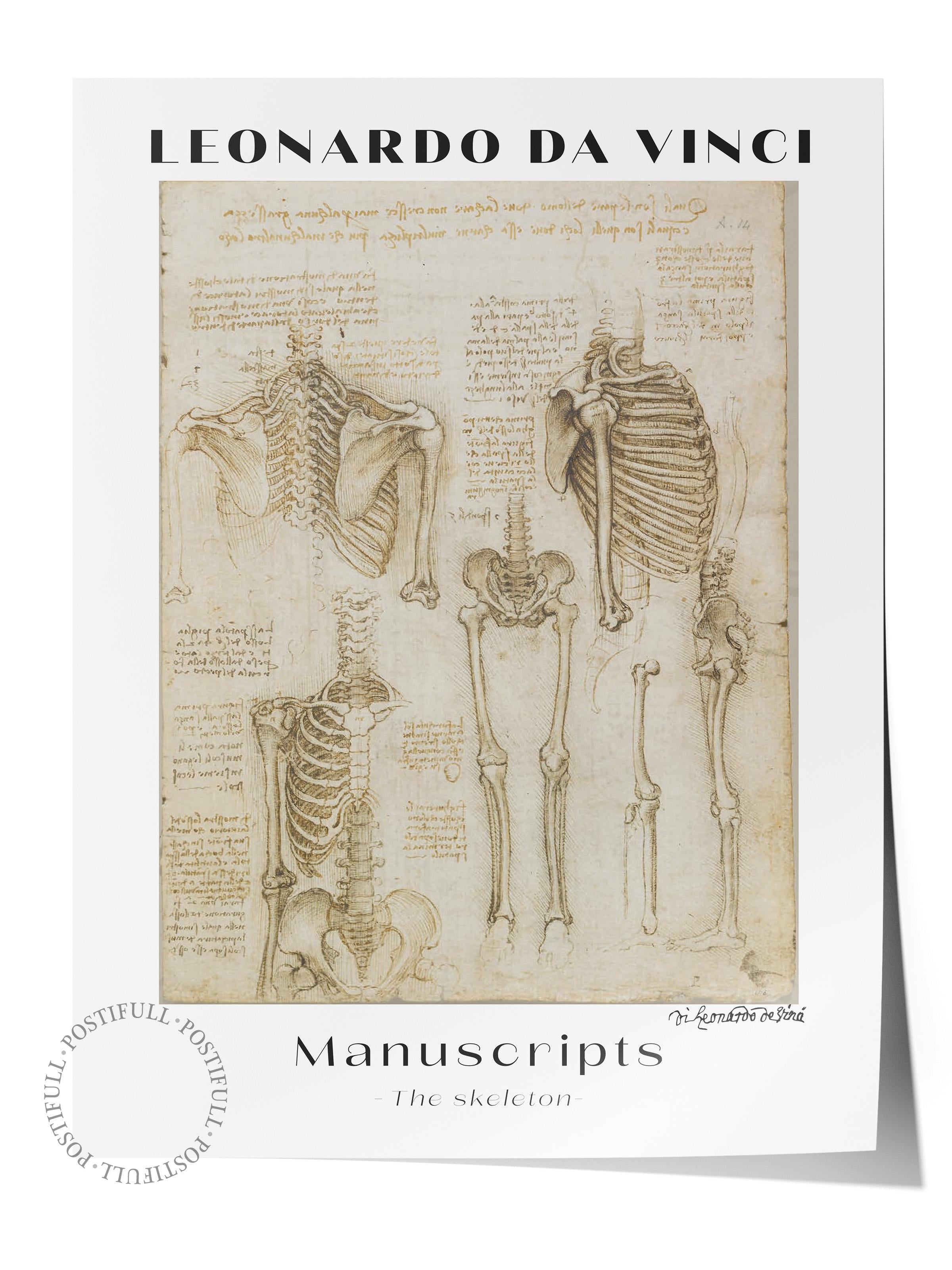 Leonardo Da Vinci Duvar Posteri - Duvar Dekoru - Sanat Serisi Posterleri - Kalın Kağıt - Çerçevesiz