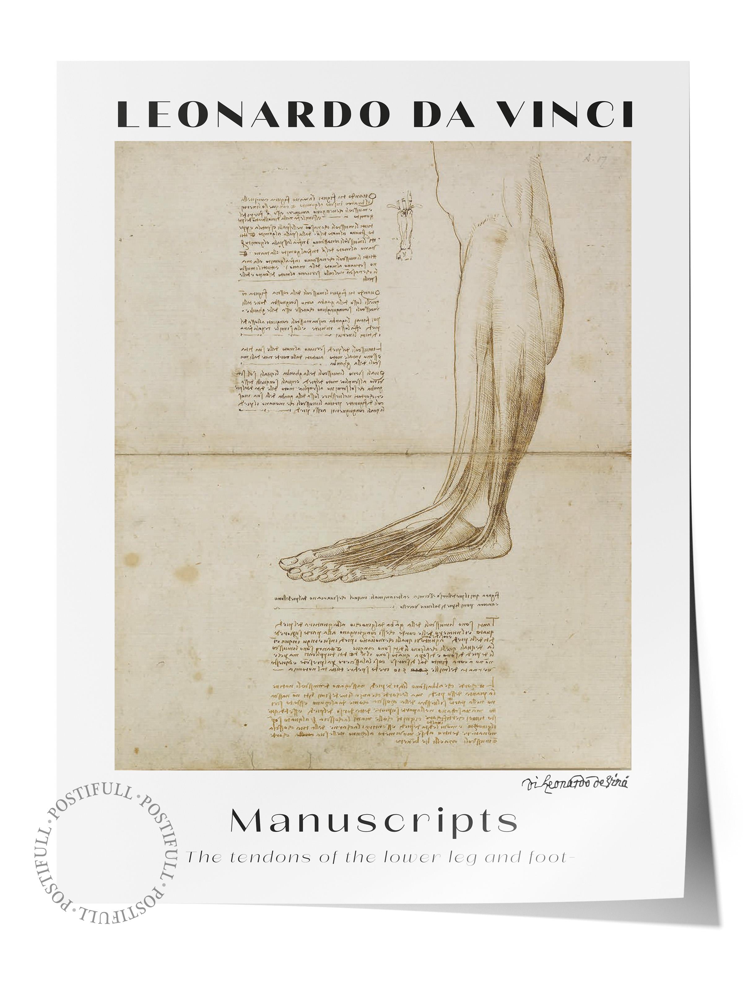 Leonardo Da Vinci Duvar Posteri - Duvar Dekoru - Sanat Serisi Posterleri - Kalın Kağıt - Çerçevesiz