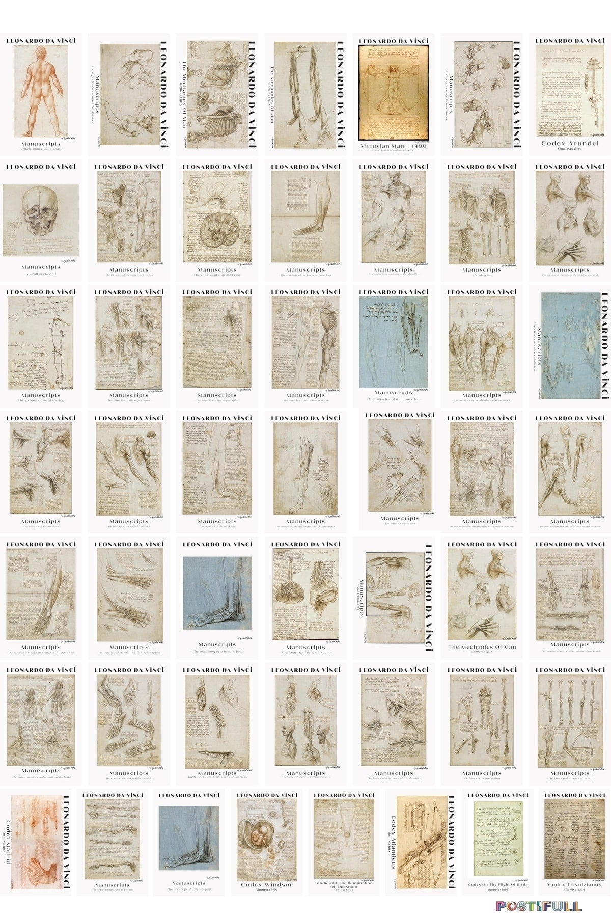 Leonardo Da Vinci Kolaj Seti, Sanatsal Poster Kartları, Bant Hediyeli - 50 Adet 10*15cm