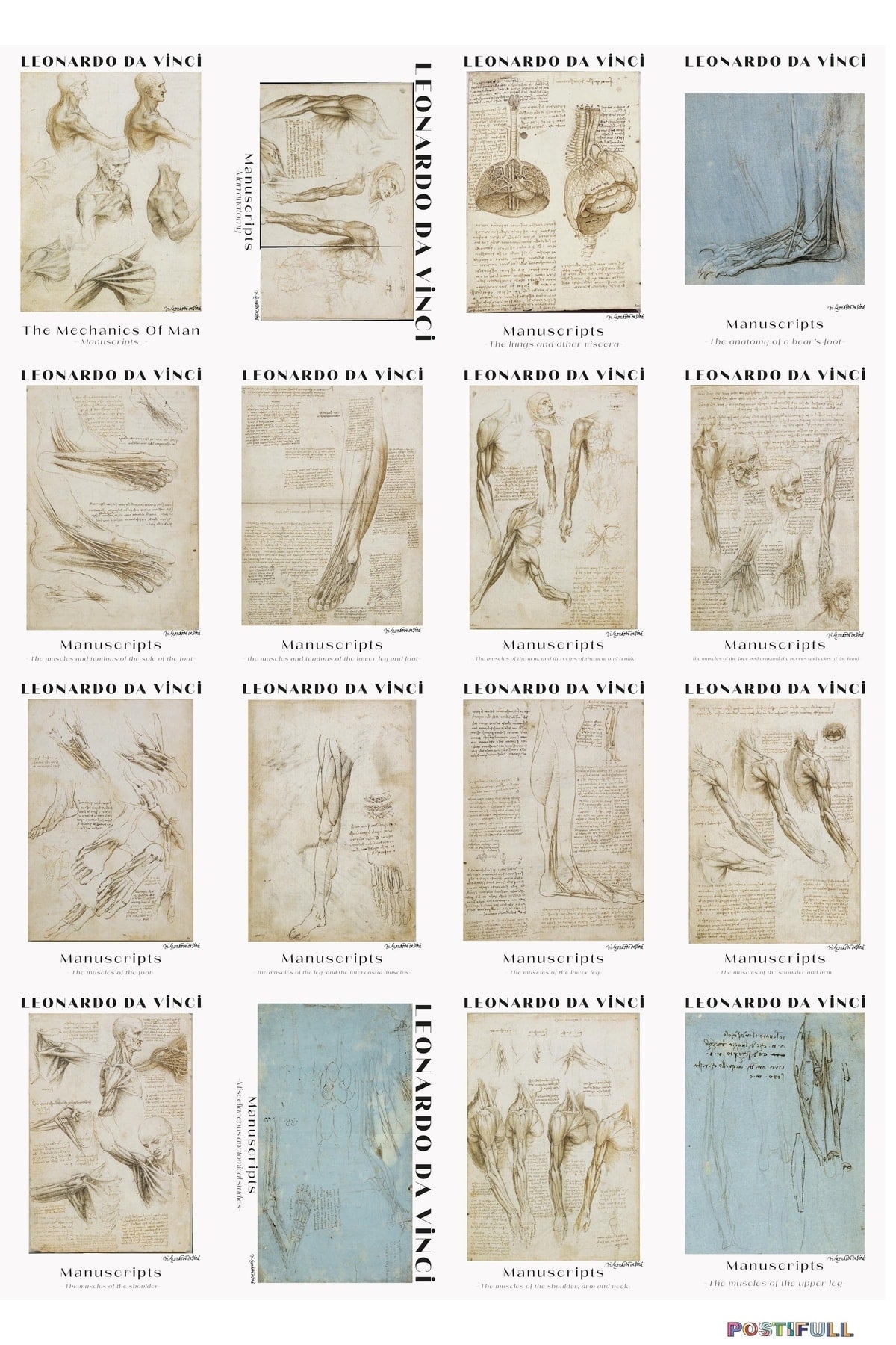 Leonardo Da Vinci Kolaj Seti, Sanatsal Poster Kartları, Bant Hediyeli - 50 Adet 10*15cm