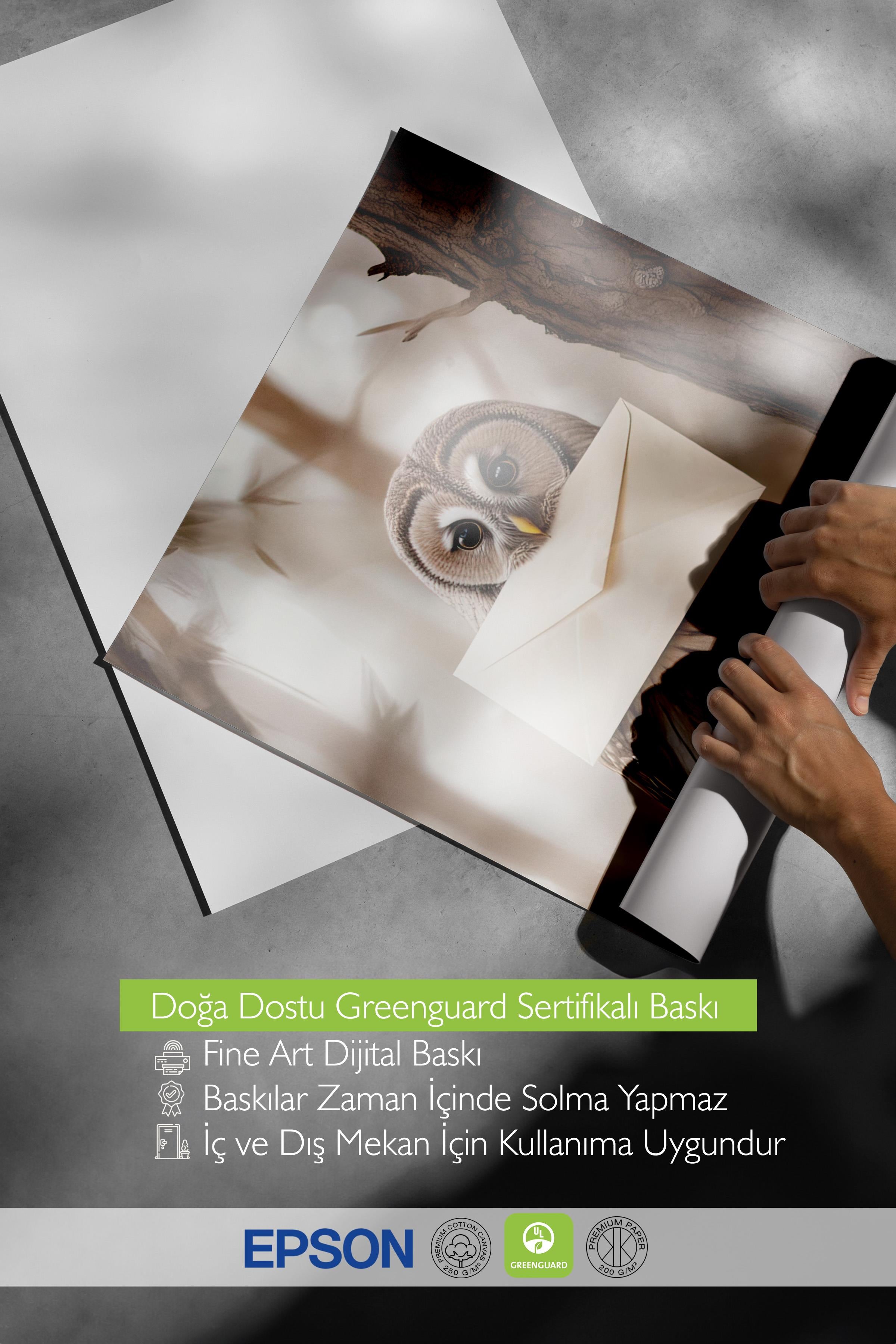 Letter Owl Poster, Çerçevesiz Duvar Posteri, Dikey Duvar Tablosu Comfort Serisi NO:108291