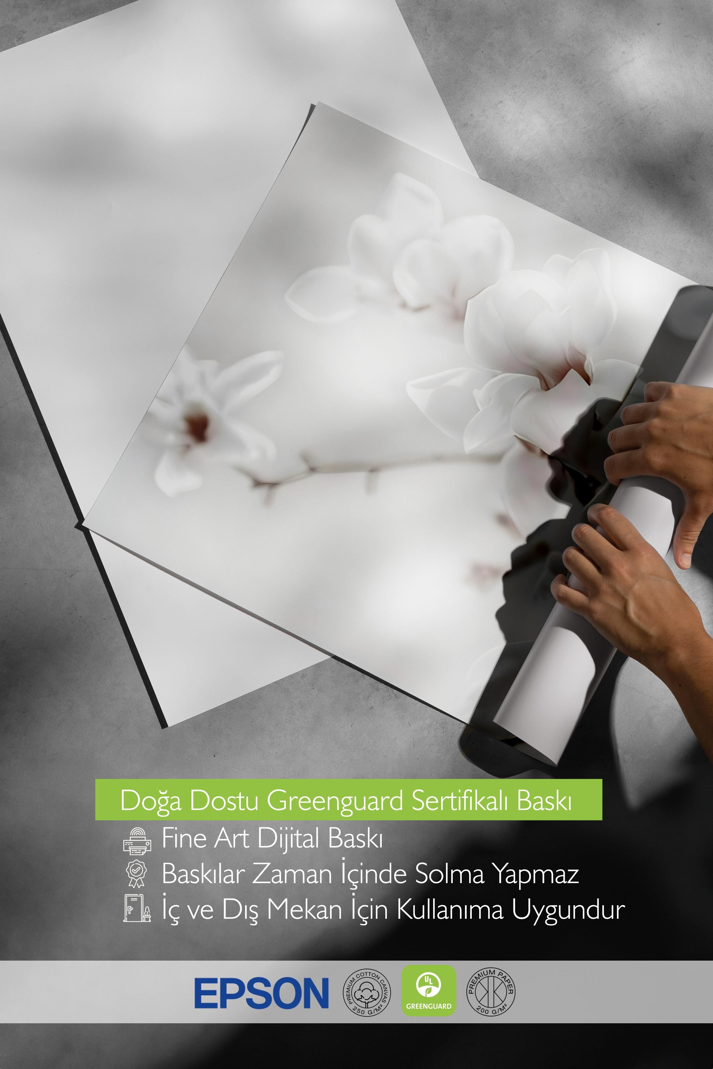 Magnolia Branch Poster, Çerçevesiz Duvar Posteri, Dikey Duvar Tablosu Comfort Serisi NO:108418