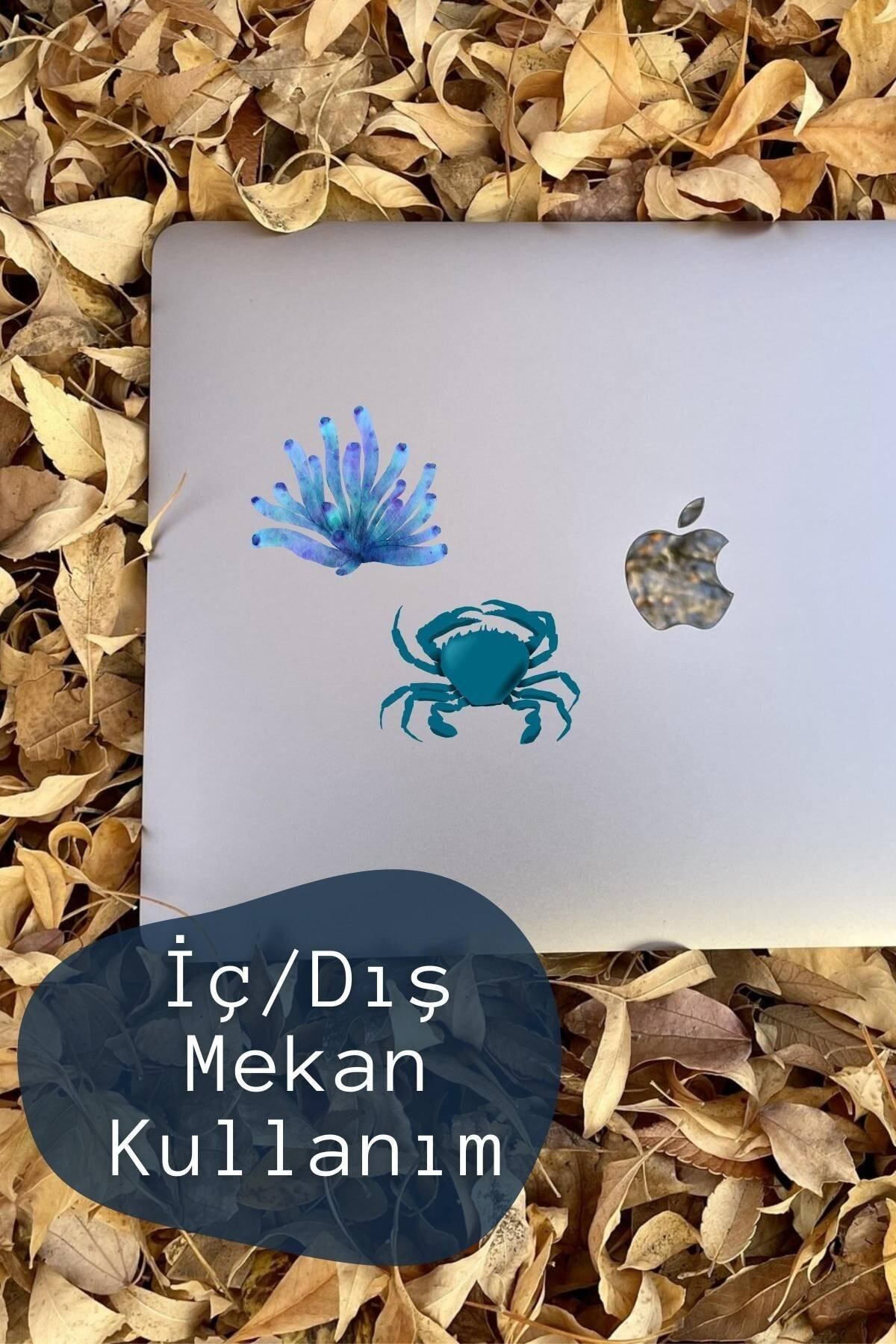 Mavi Temalı Sticker Seti - 7 Adet Etiket Seti- Telefon, Tablet, Defter Laptop Uyumlu Etiket