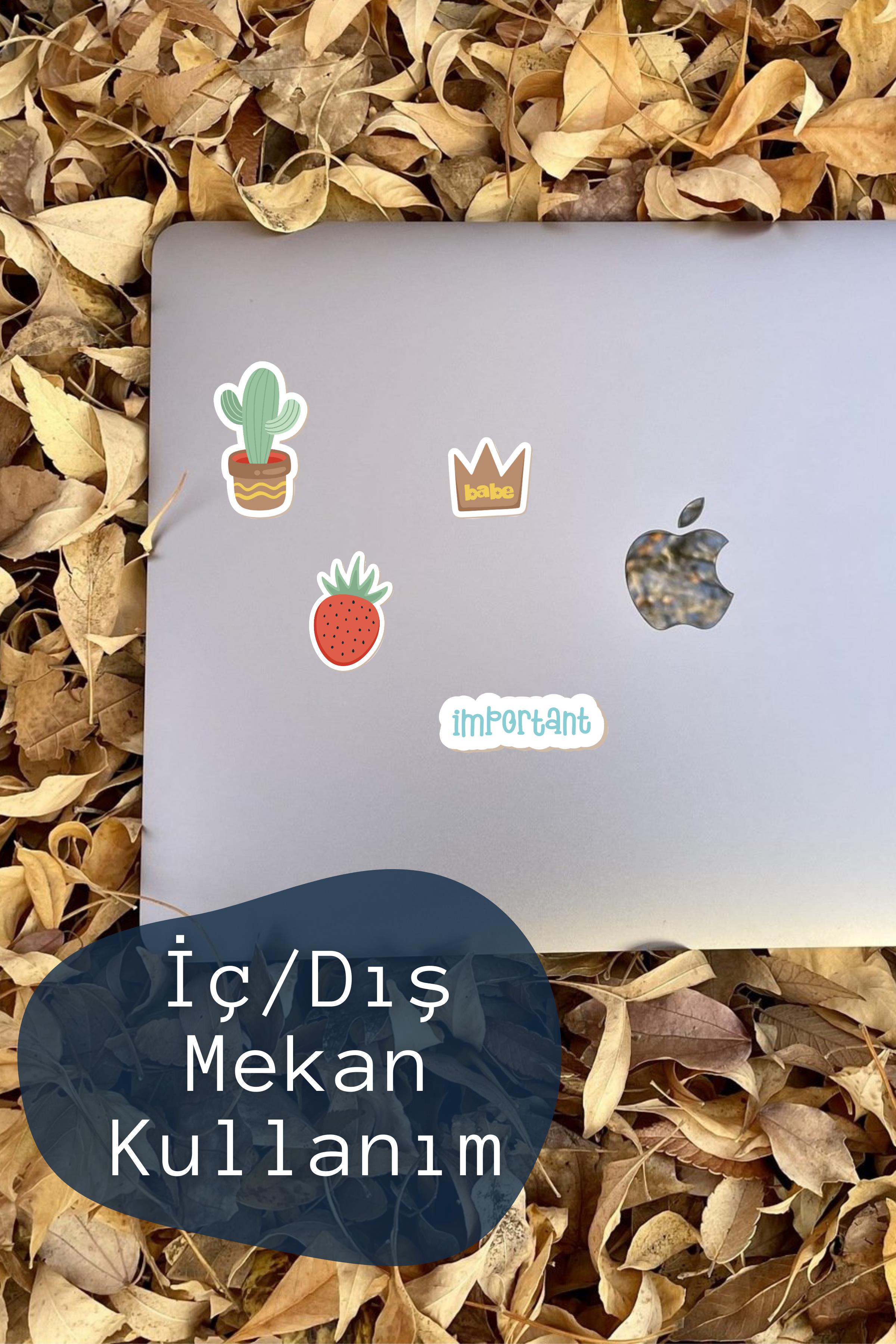 Minimal Temalı Sticker ve Etiket Seti - Orta Boy - Su Geçirmez, Kalın Yapışkanlı Sticker Seti