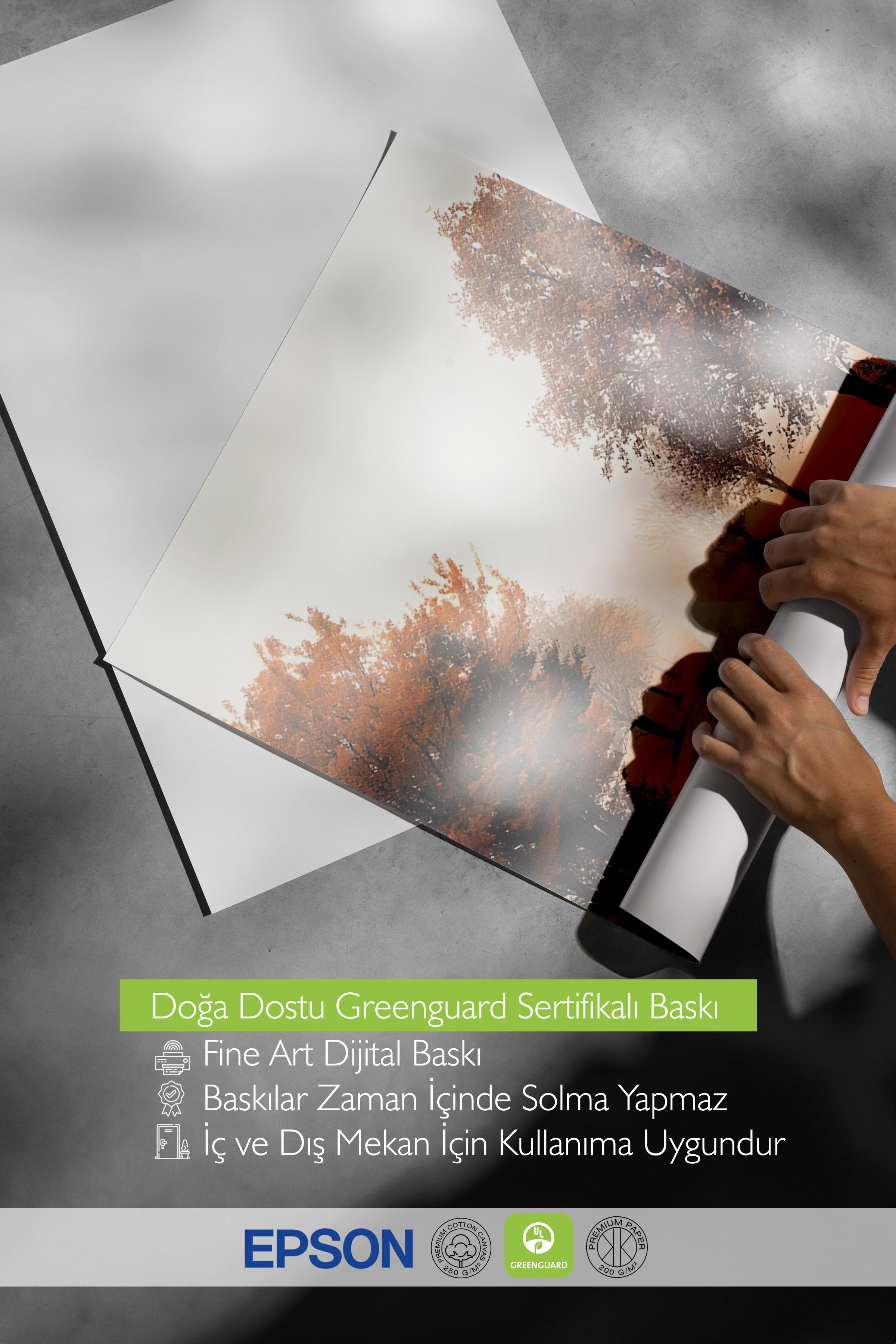 Misty Tree Alley Poster, Çerçevesiz Duvar Posteri, Dikey Duvar Tablosu Comfort Serisi NO:108353