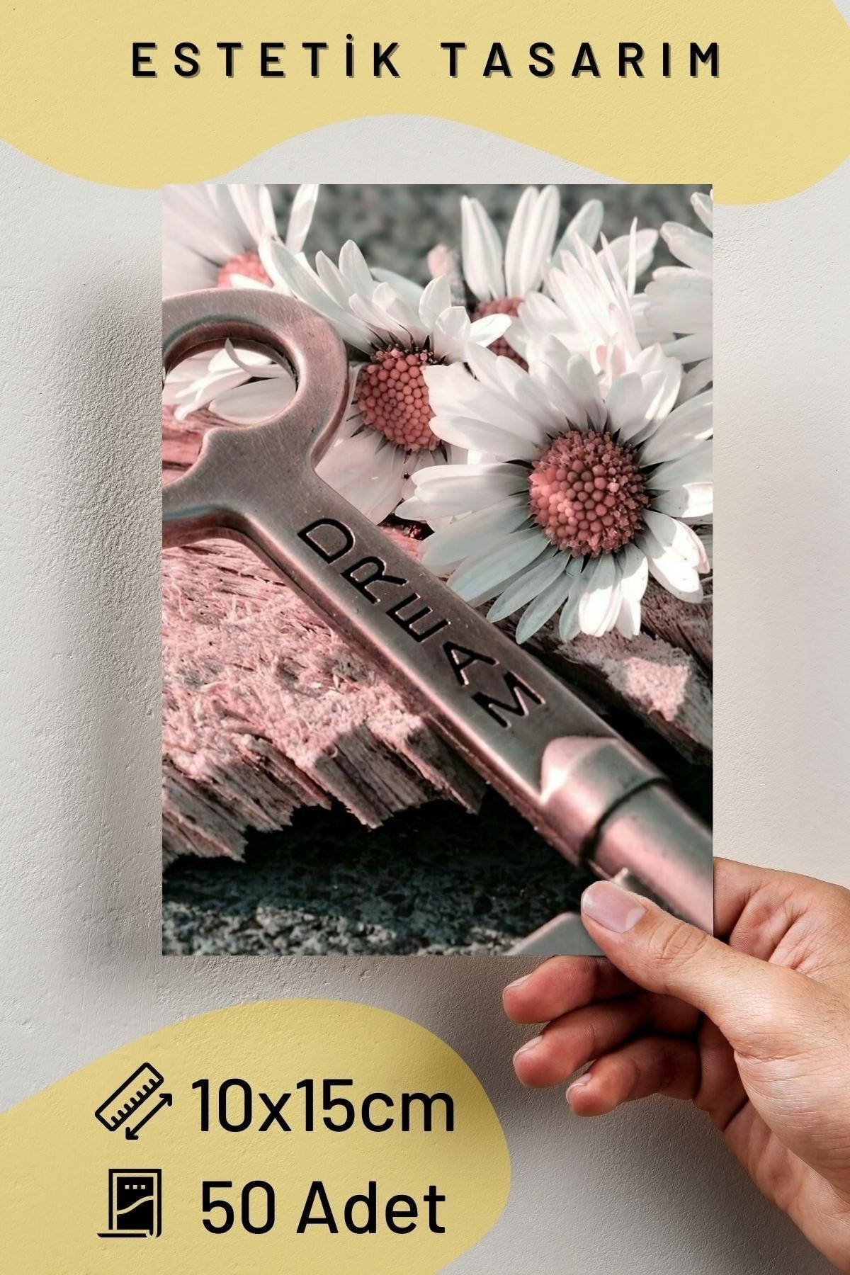 Mor Duvar Posteri Kolaj Seti - 50 Adet - Arkası Yapışkanlı Sade Renk Temalı Poster Seti - 10cm*15cm