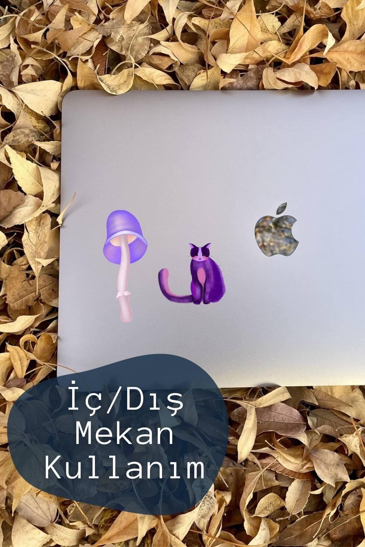 More Temalı Sticker Seti - 8 Adet Etiket Seti- Telefon, Tablet, Defter Laptop Uyumlu Etiket