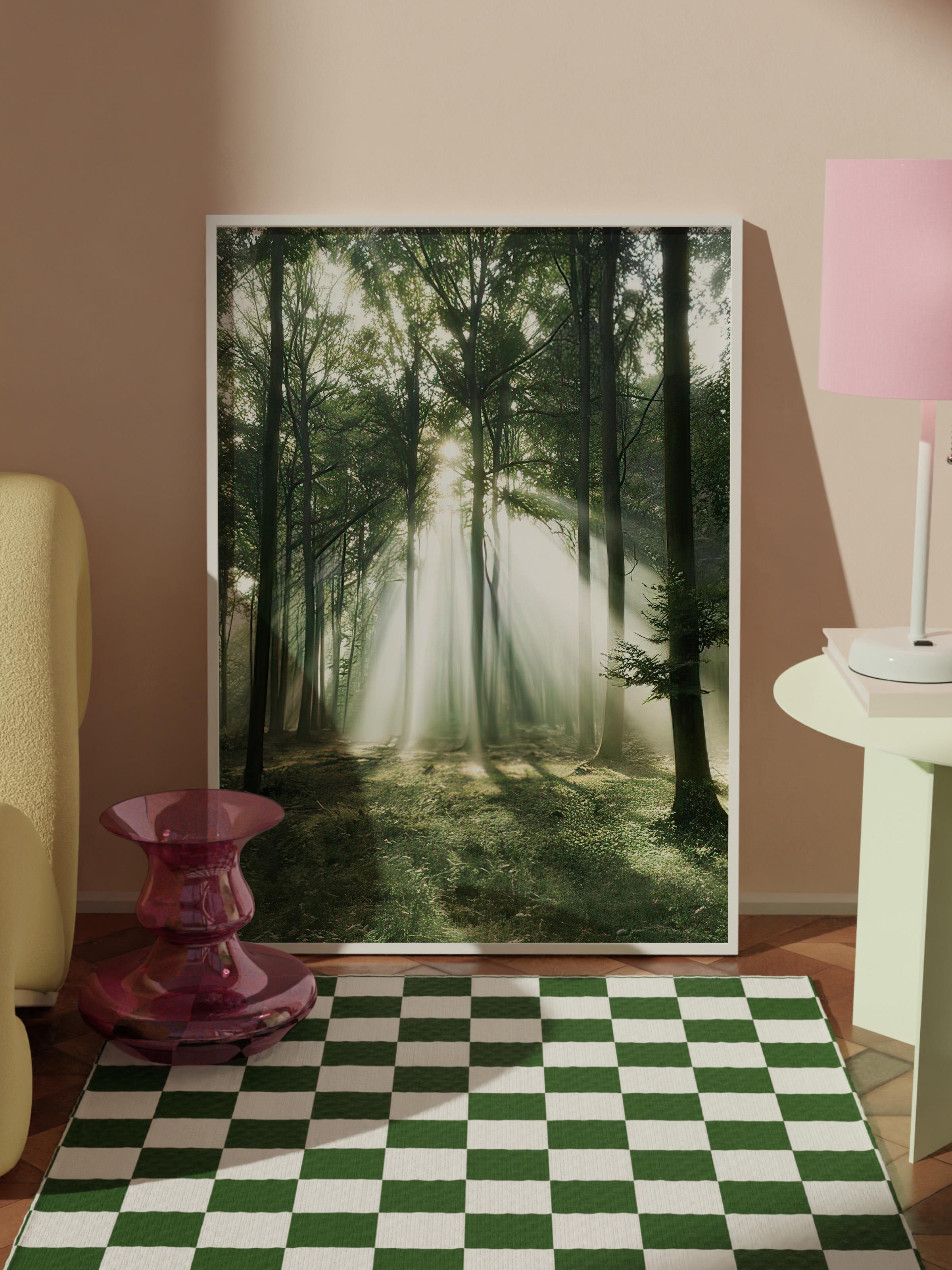 Morning Forest Çerçeveli Tablo, Beyaz Çerçeve ve Poster, Duvar Tablosu Comfort Serisi NO:108399