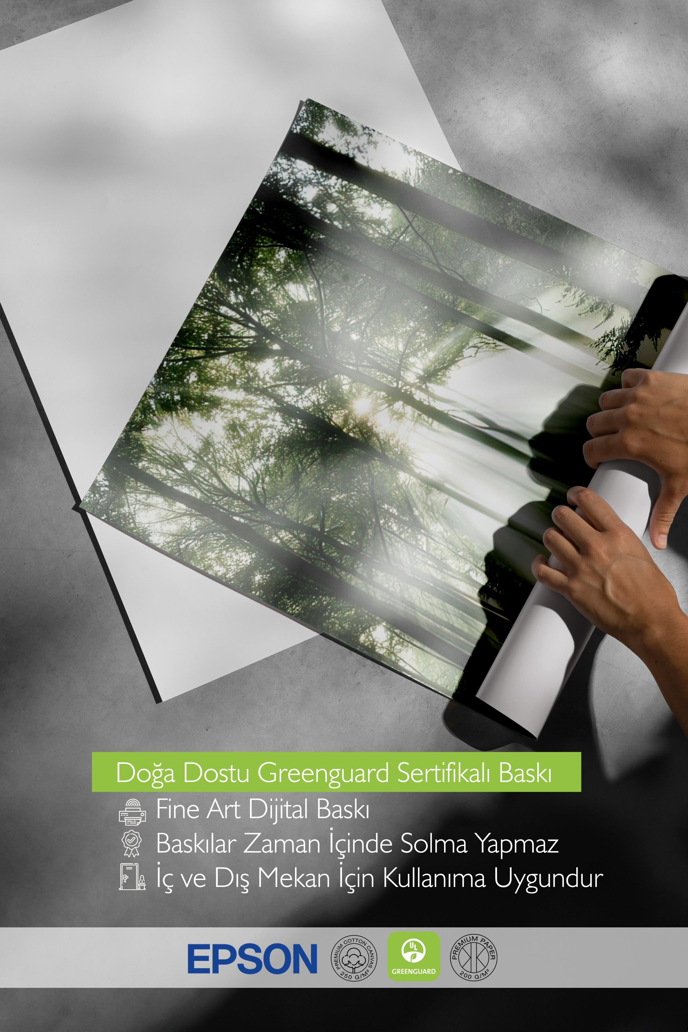 Morning Forest Poster, Çerçevesiz Duvar Posteri, Dikey Duvar Tablosu Comfort Serisi NO:108399