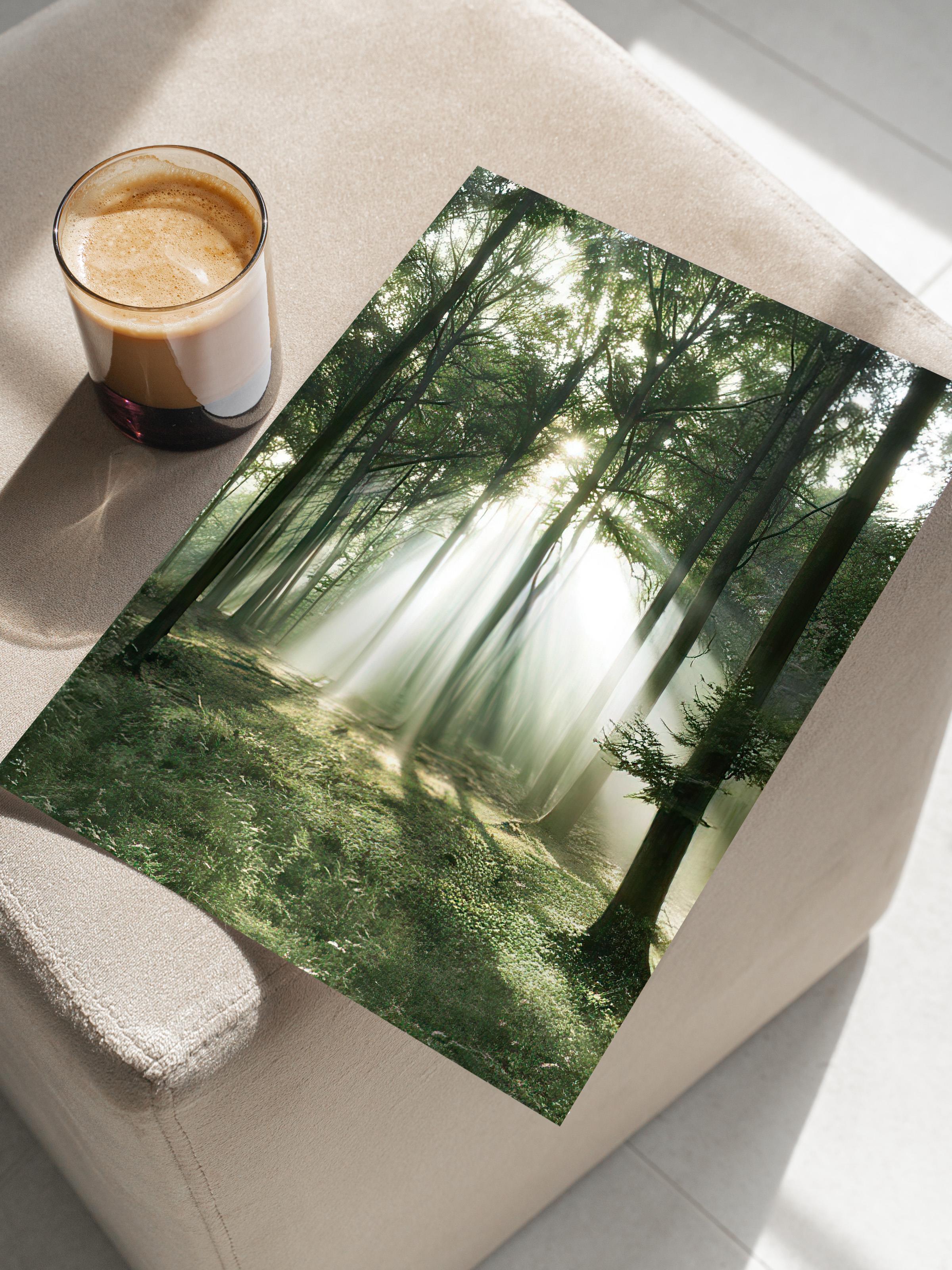 Morning Forest Poster, Çerçevesiz Duvar Posteri, Dikey Duvar Tablosu Comfort Serisi NO:108399