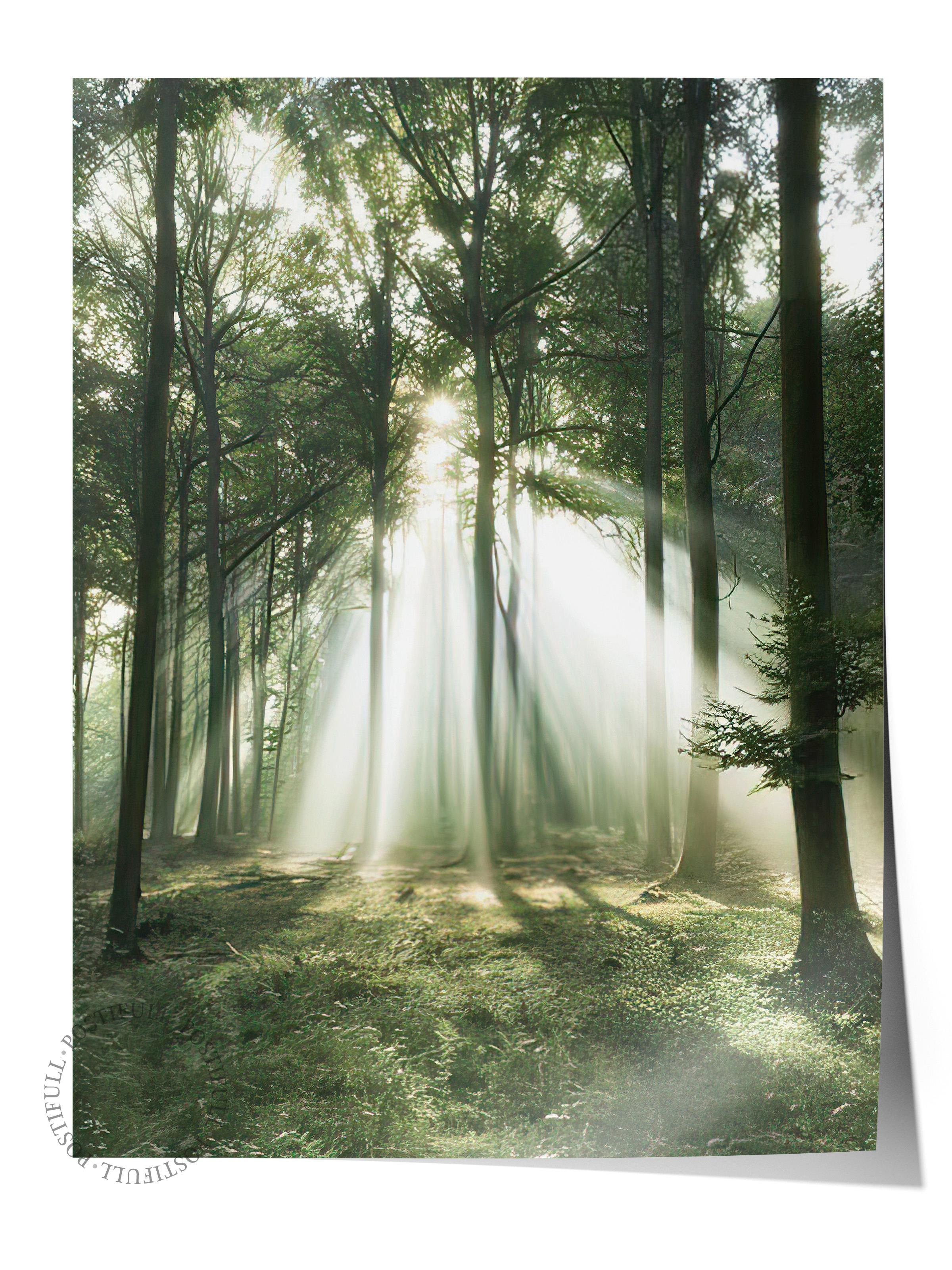 Morning Forest Poster, Çerçevesiz Duvar Posteri, Dikey Duvar Tablosu Comfort Serisi NO:108399