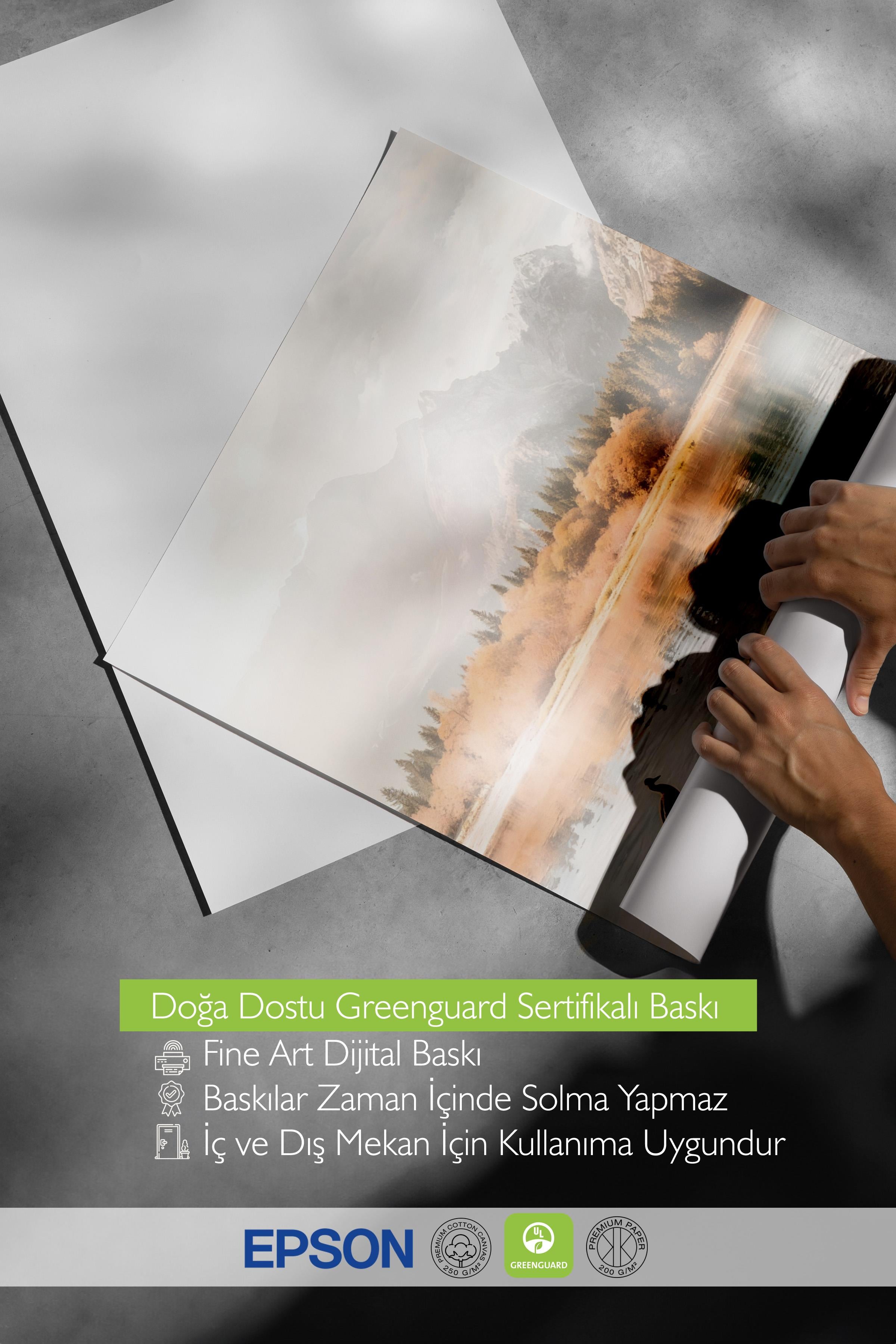 Morning Swim Poster, Çerçevesiz Duvar Posteri, Dikey Duvar Tablosu Comfort Serisi NO:108503