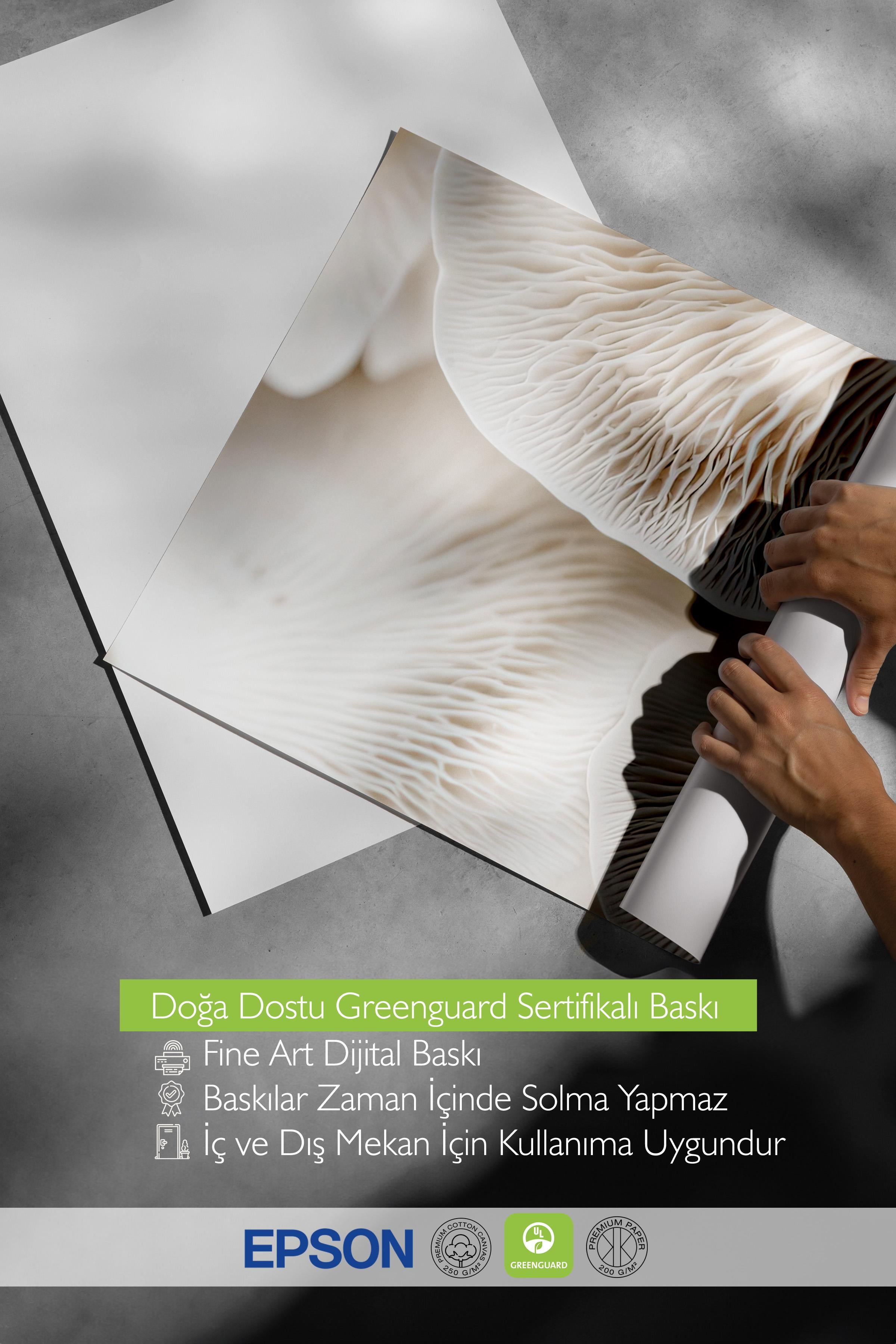 Mushroom Dream Poster, Çerçevesiz Duvar Posteri, Dikey Duvar Tablosu Comfort Serisi NO:108343