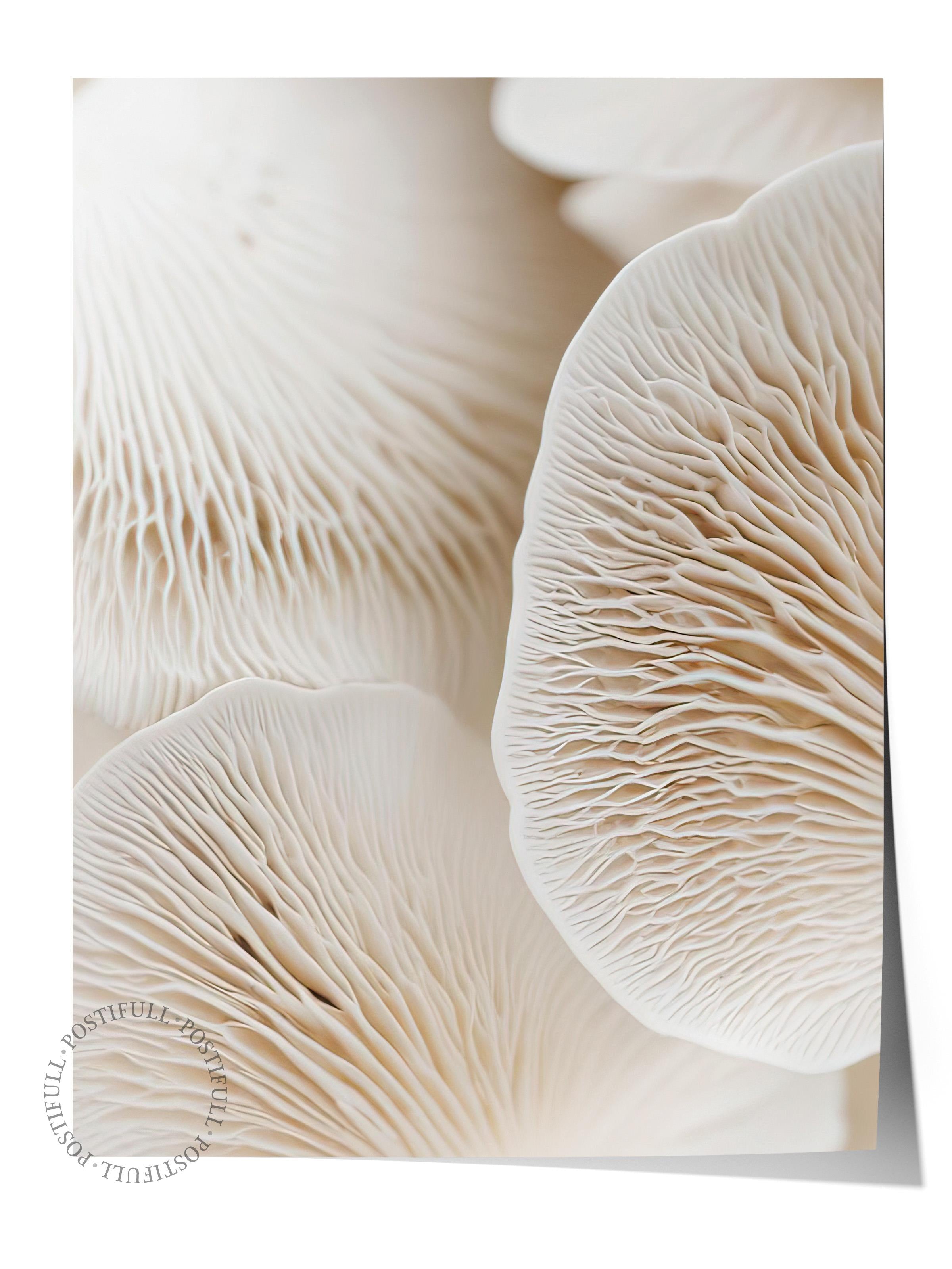 Mushroom Dream Poster, Çerçevesiz Duvar Posteri, Dikey Duvar Tablosu Comfort Serisi NO:108343