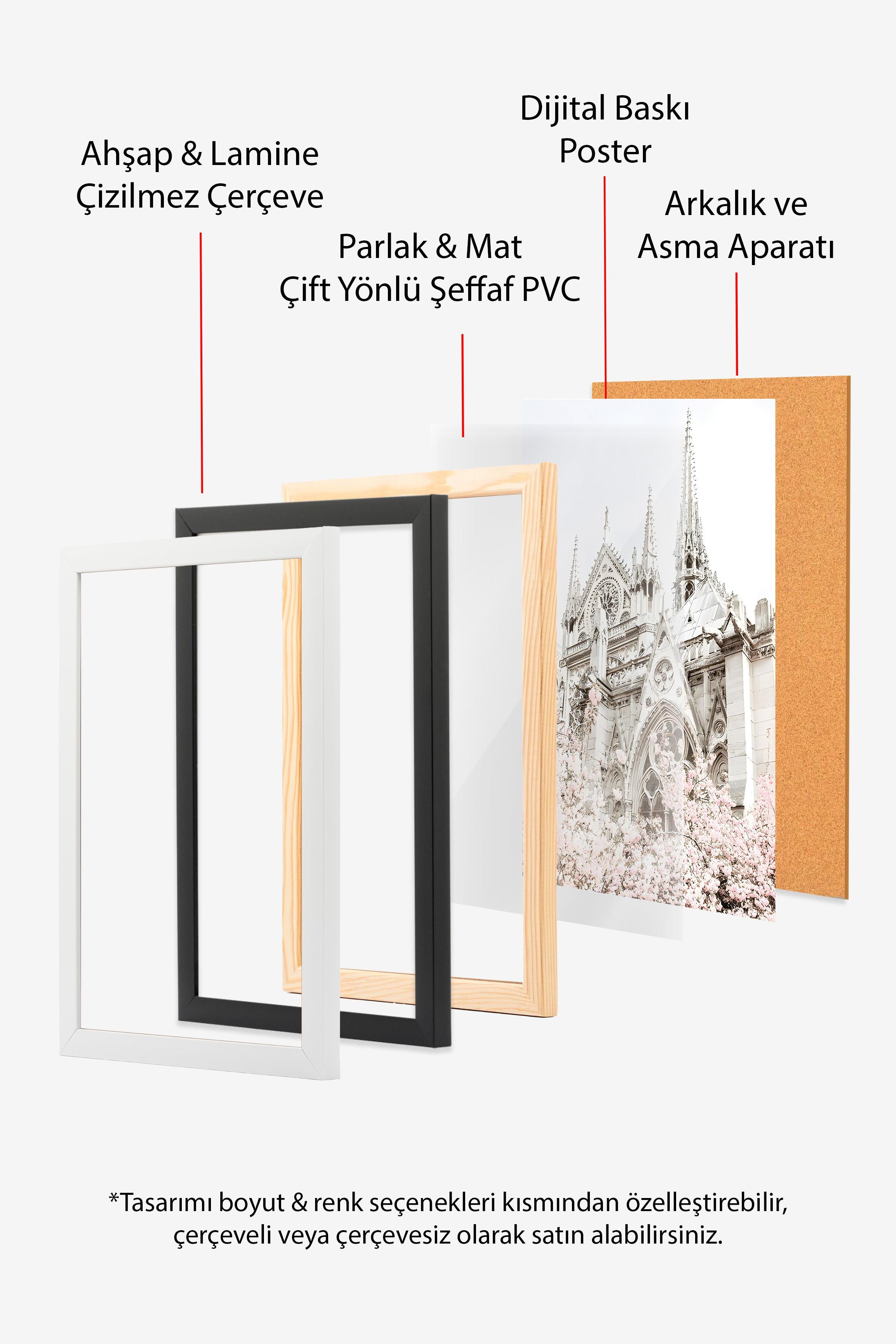 Notre Dame in Bloom Çerçeveli Tablo, Beyaz Çerçeve ve Poster, Duvar Tablosu Comfort Serisi NO:108370