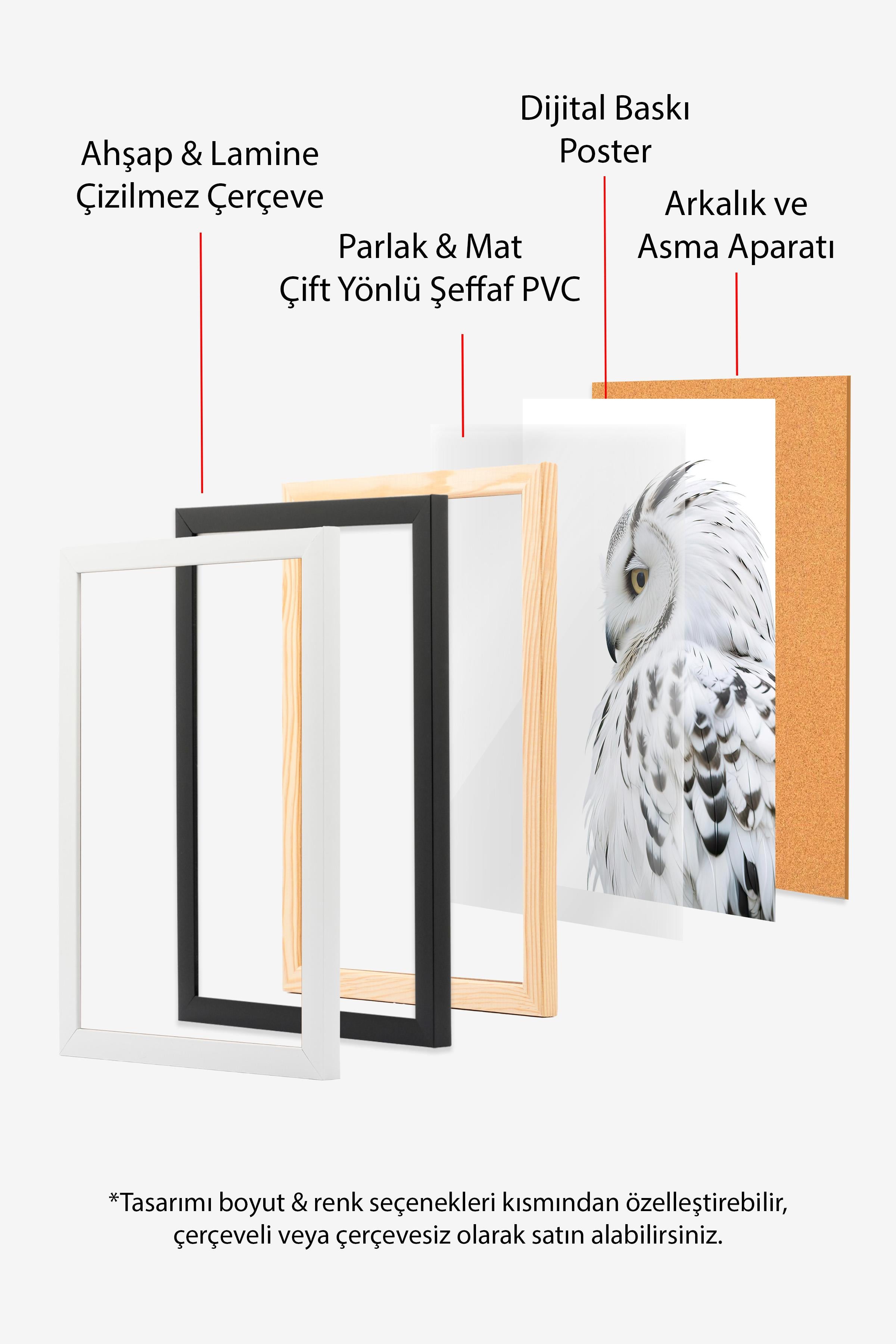 Owl Çerçeveli Tablo, Siyah Çerçeve ve Poster, Dikey Duvar Tablosu Comfort Serisi NO:108301