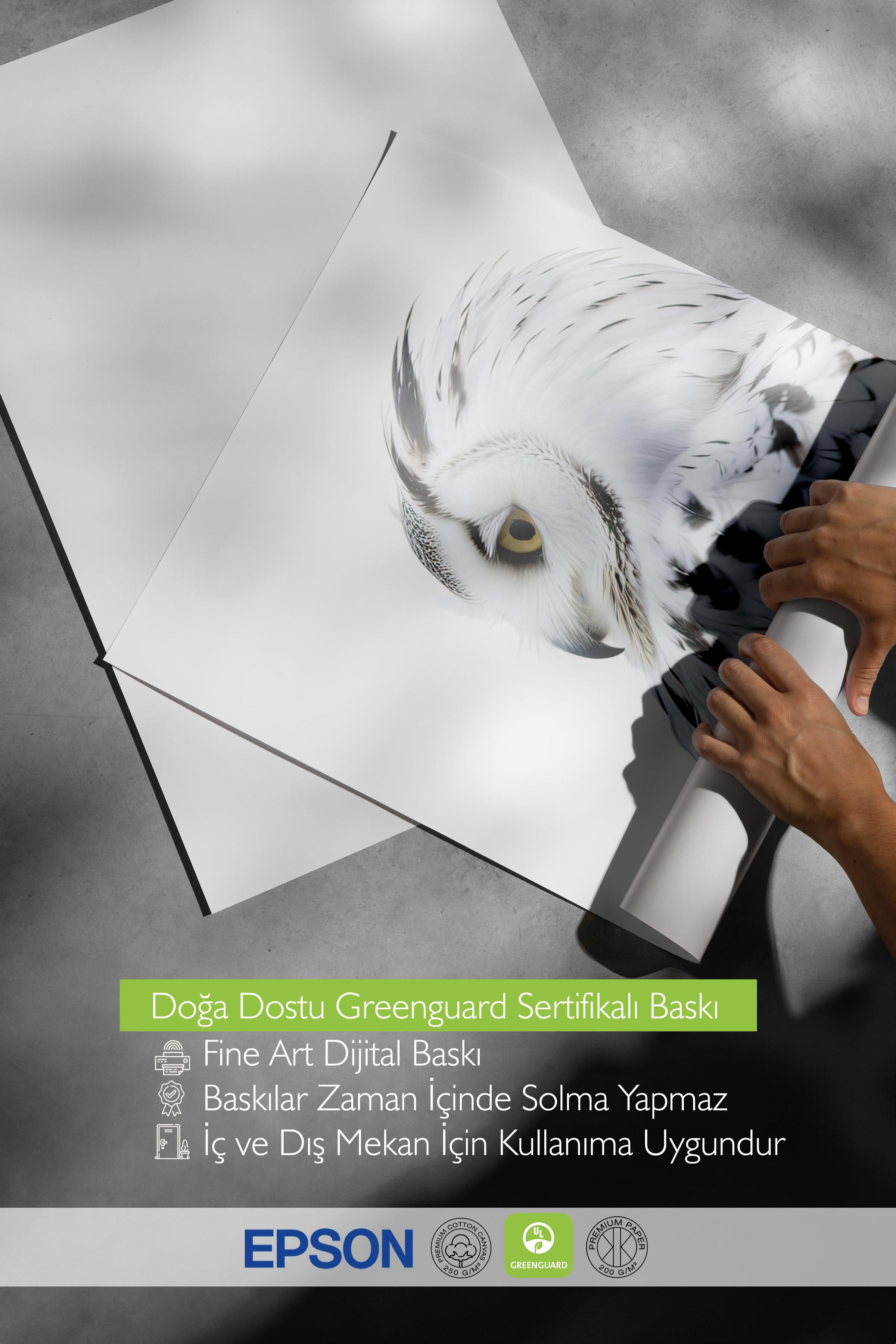 Owl Poster, Çerçevesiz Duvar Posteri, Dikey Duvar Tablosu Comfort Serisi NO:108301