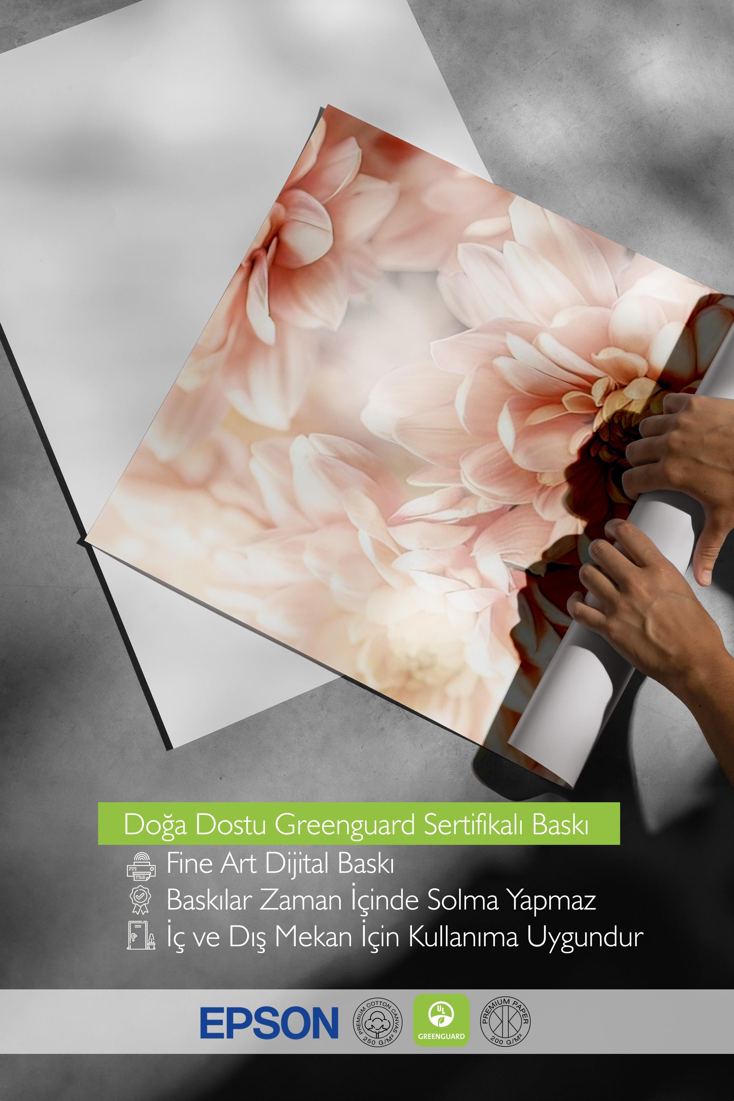 Pastel Dahlias Poster, Çerçevesiz Duvar Posteri, Dikey Duvar Tablosu Comfort Serisi NO:108388