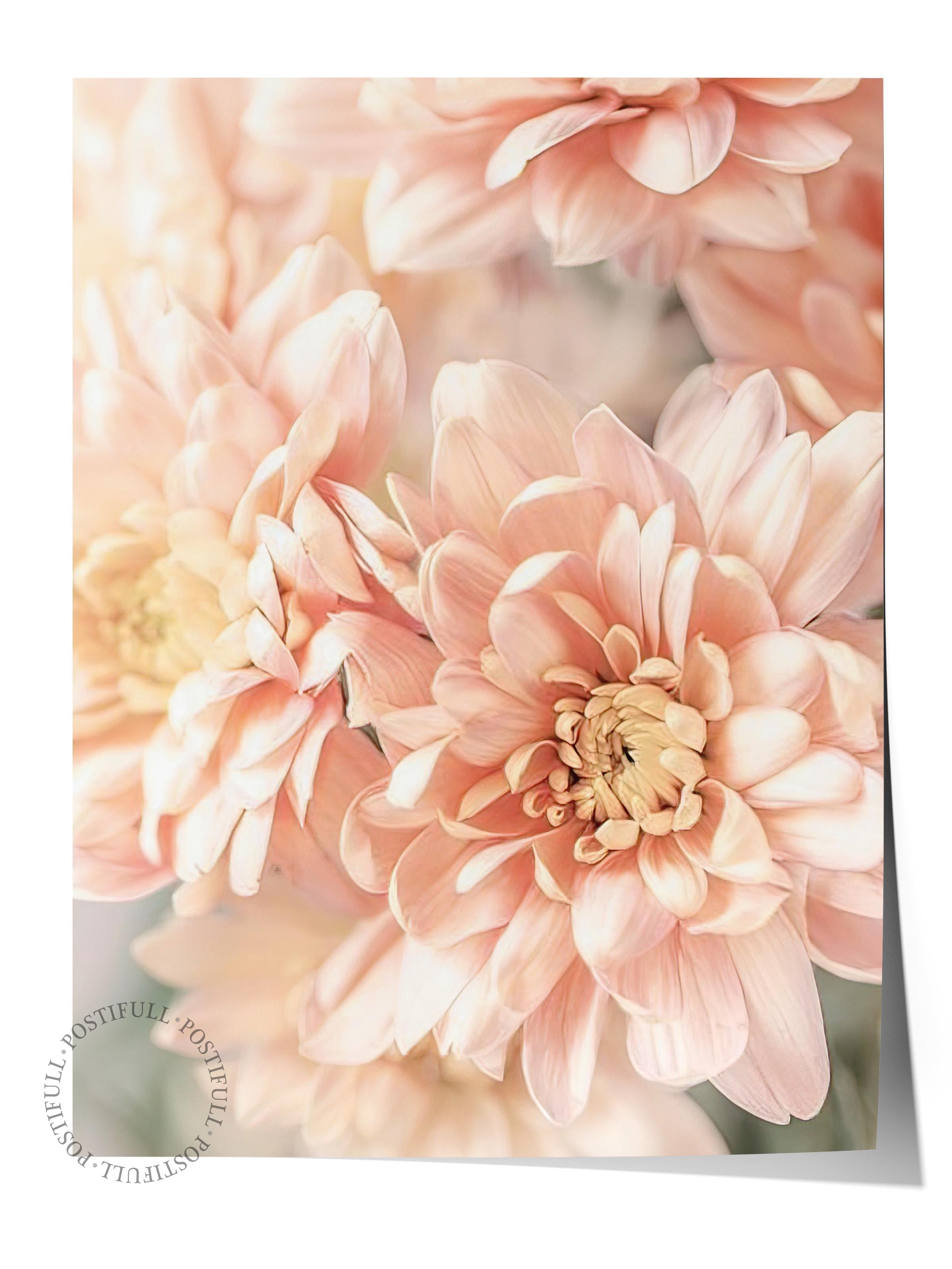 Pastel Dahlias Poster, Çerçevesiz Duvar Posteri, Dikey Duvar Tablosu Comfort Serisi NO:108388