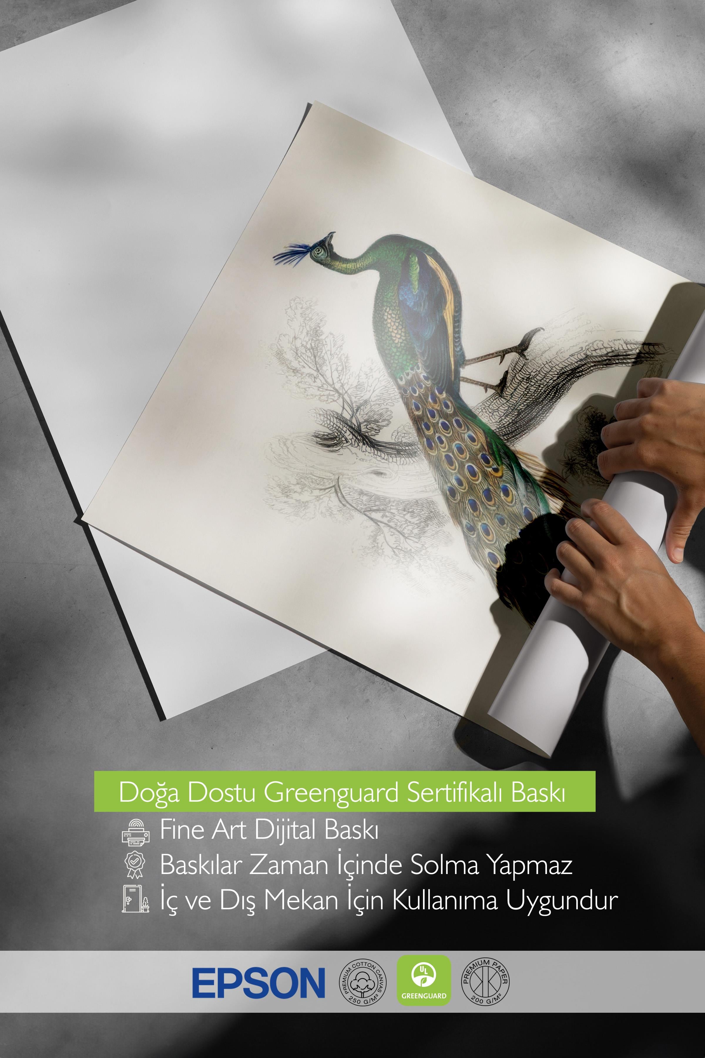 Peafowl Portrait Poster, Çerçevesiz Duvar Posteri, Dikey Duvar Tablosu Comfort Serisi NO:108500