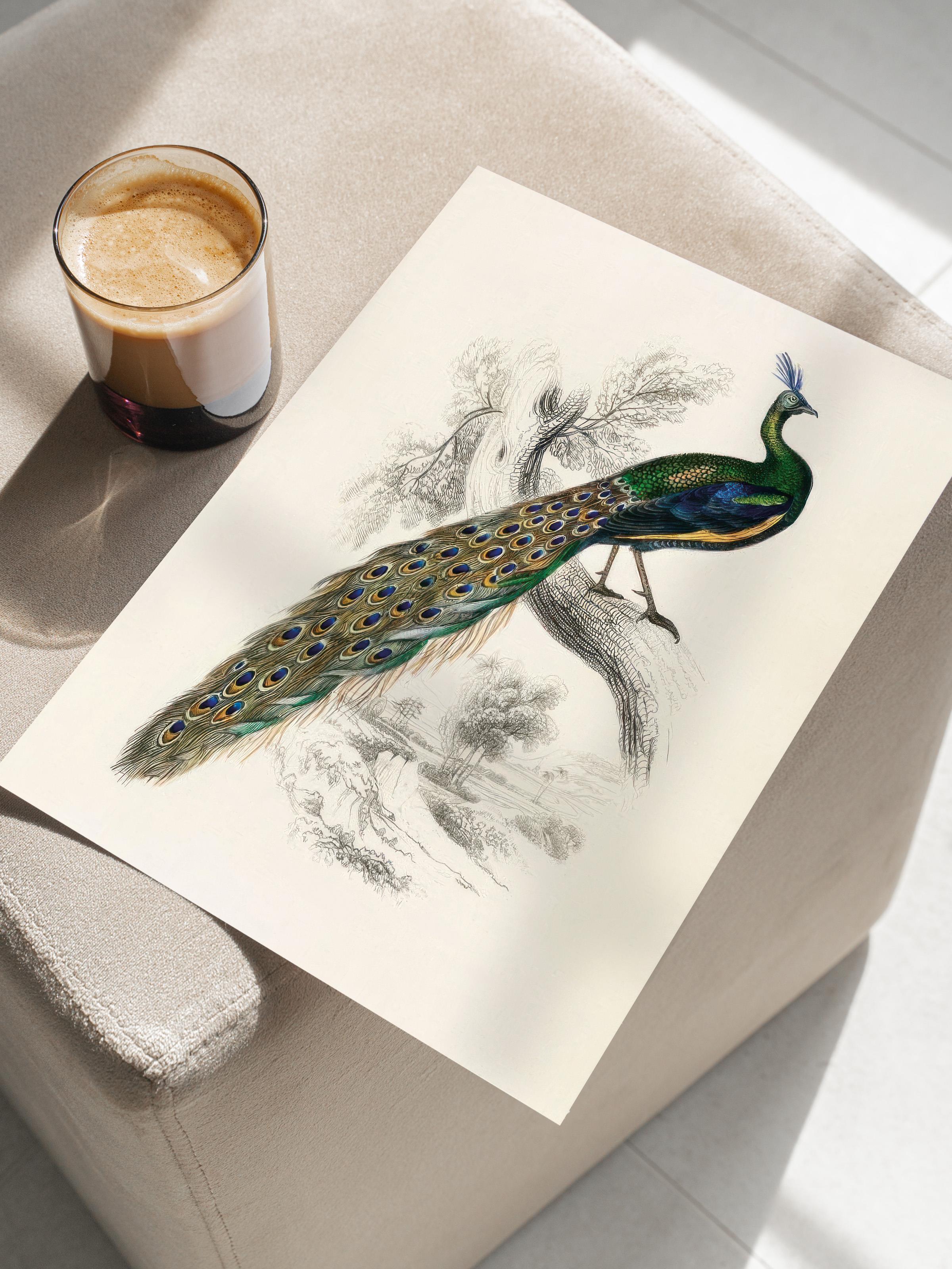 Peafowl Portrait Poster, Çerçevesiz Duvar Posteri, Dikey Duvar Tablosu Comfort Serisi NO:108500