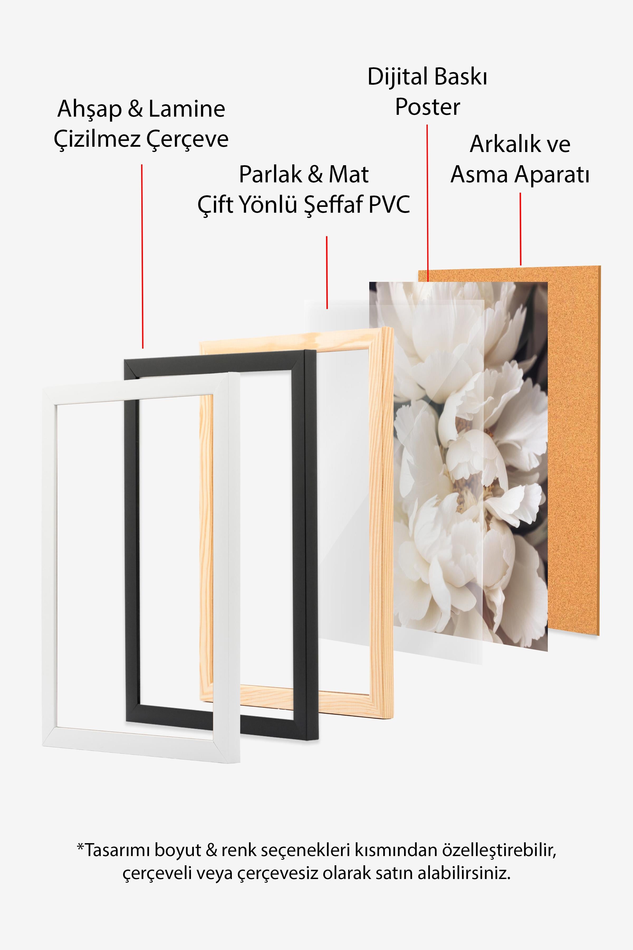 Peonies in Bloom Çerçeveli Tablo, Beyaz Çerçeve ve Poster, Duvar Tablosu Comfort Serisi NO:108428