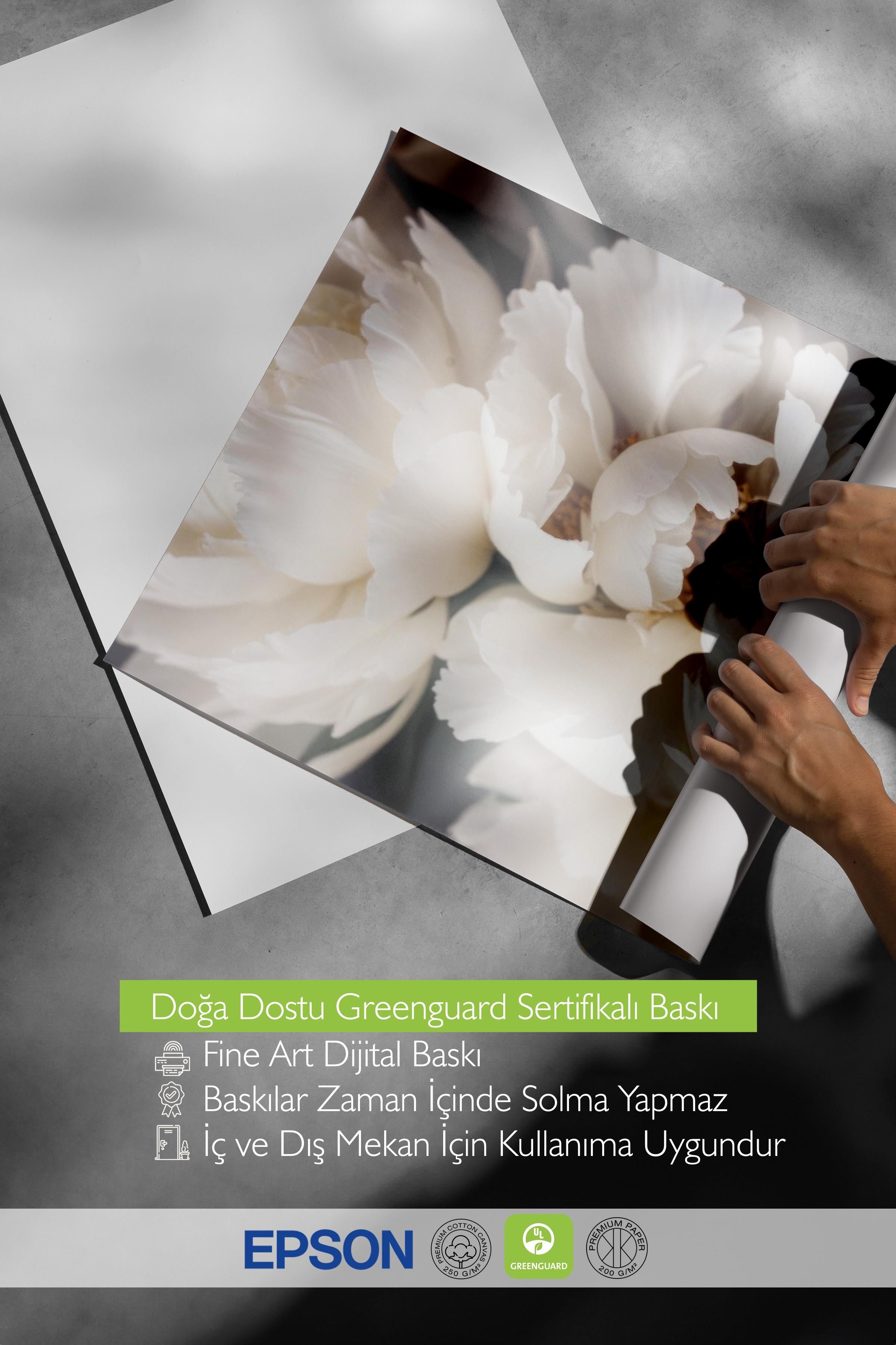 Peonies in Bloom Poster, Çerçevesiz Duvar Posteri, Dikey Duvar Tablosu Comfort Serisi NO:108428